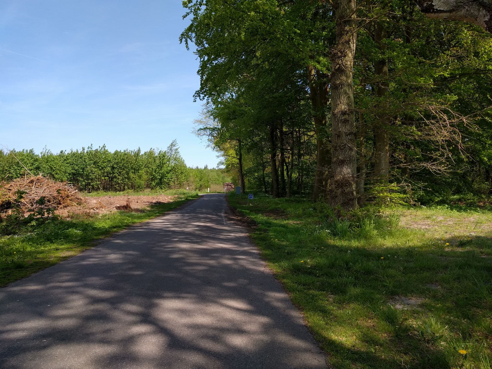 Street view near Feriekoloni, Idestrup — © mszilas (CC BY-SA · Mapillary)