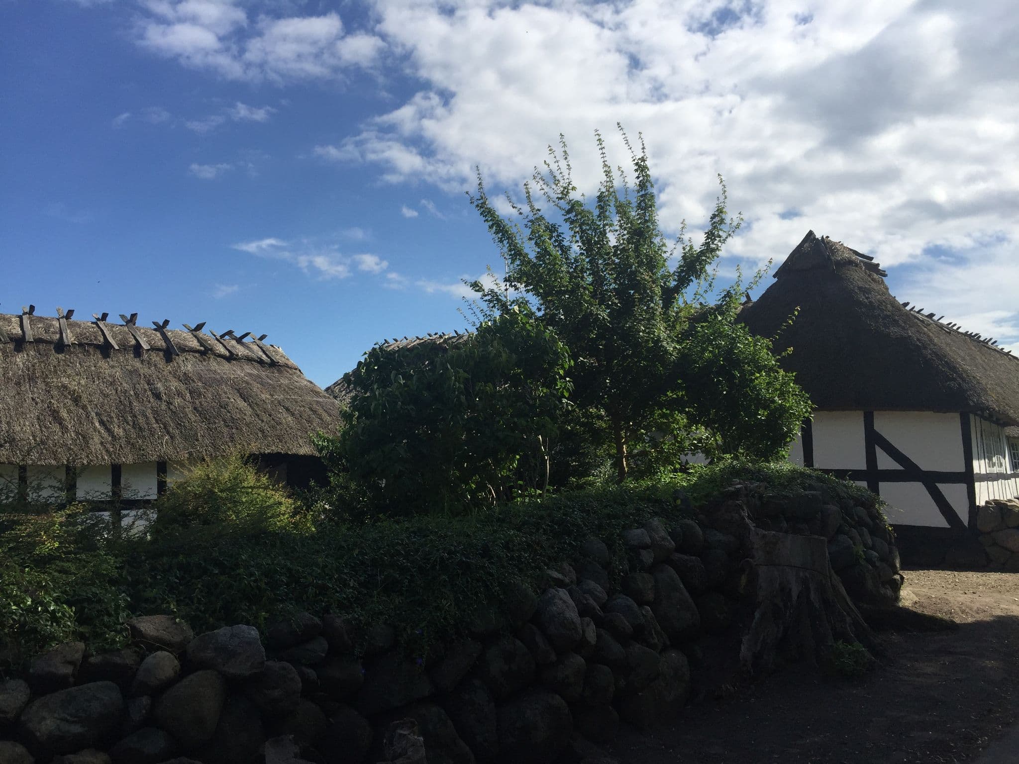 Street view near Bjørnøgård, Faaborg — © mobileeye7 (CC BY-SA · Mapillary)