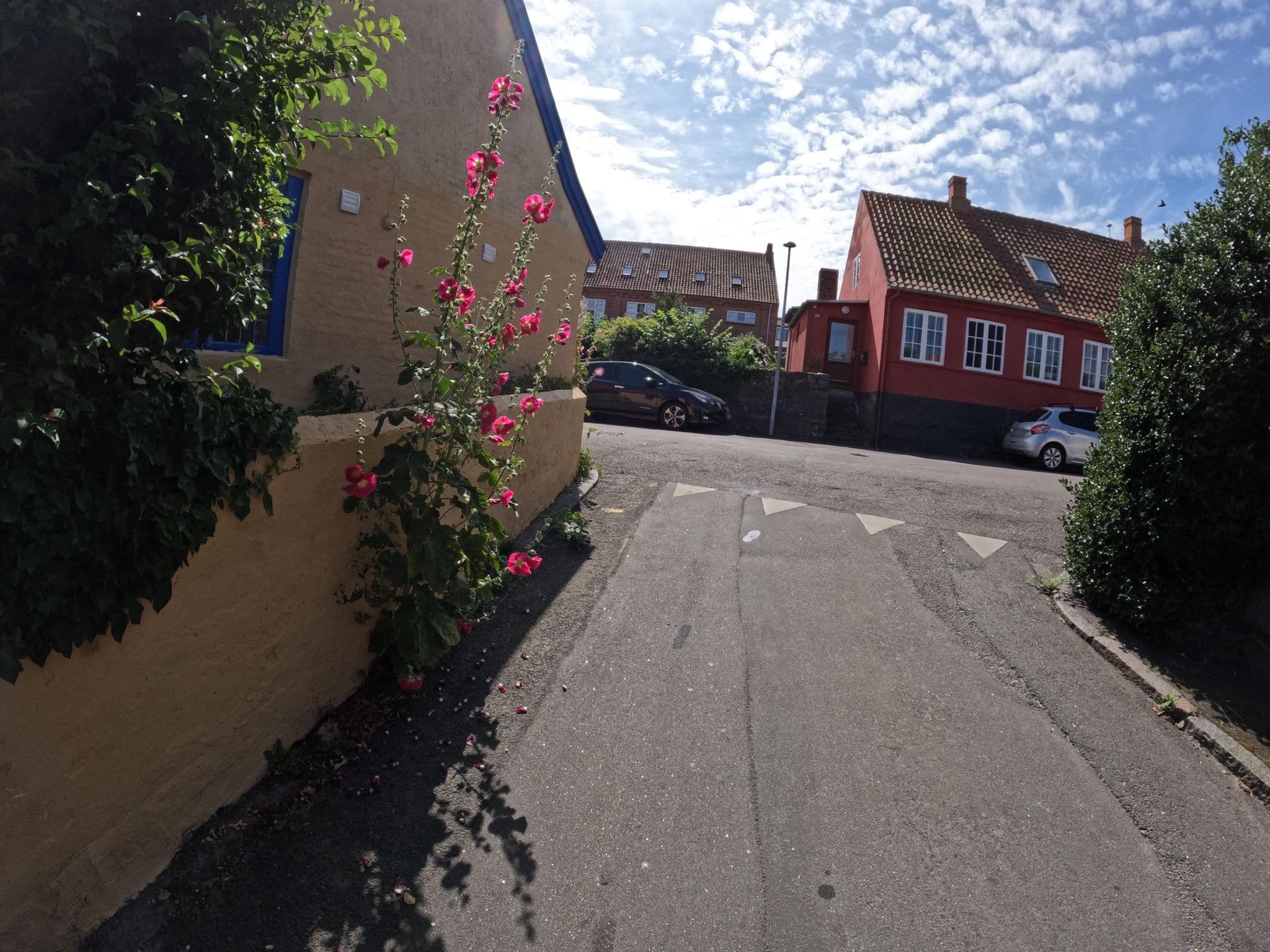 Street view near Sandvighus, Allinge — © fod (CC BY-SA · Mapillary)