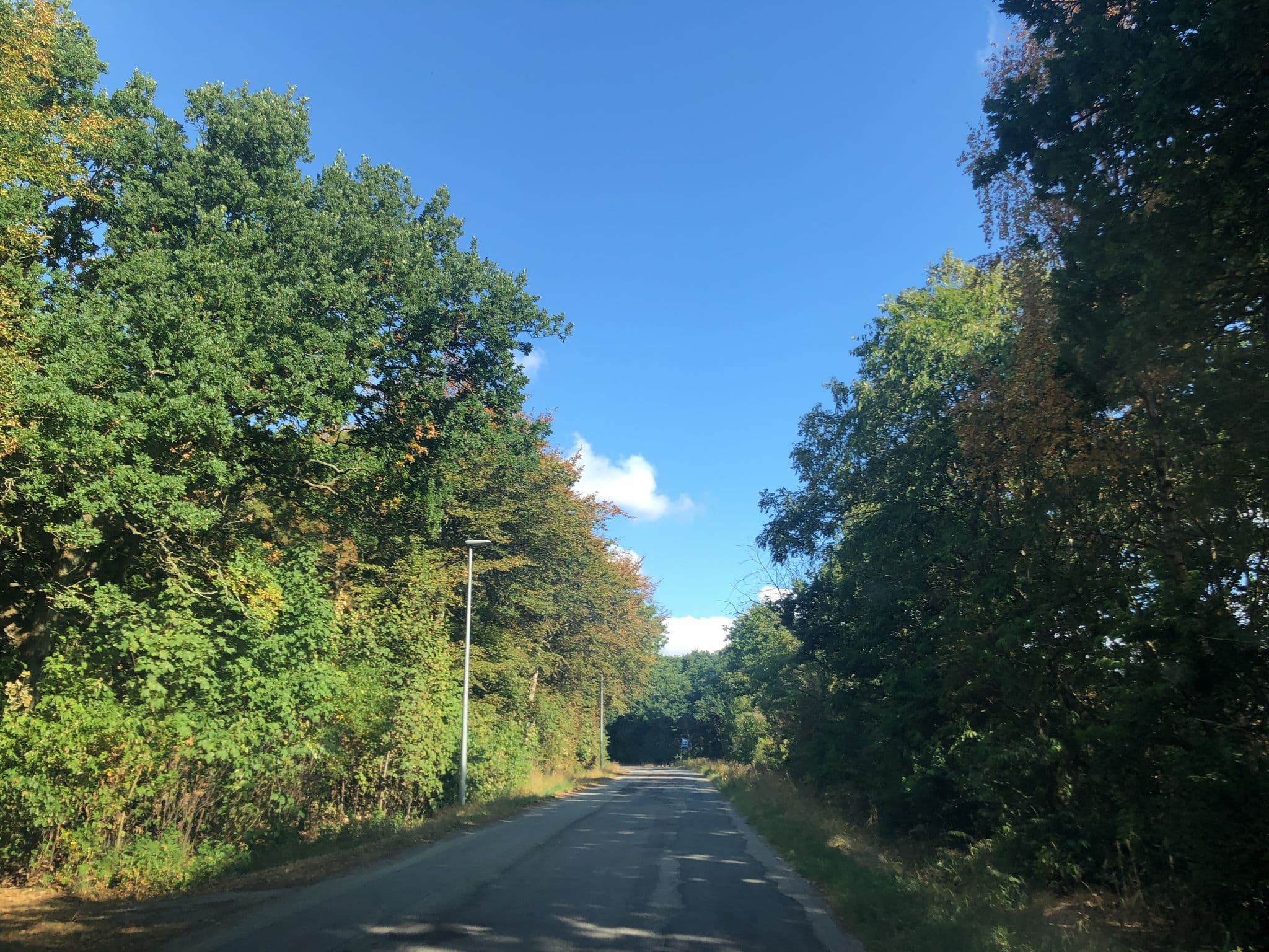 Street view near Ørodde, Nykøbing Mors — © rikkekofoed (CC BY-SA · Mapillary)