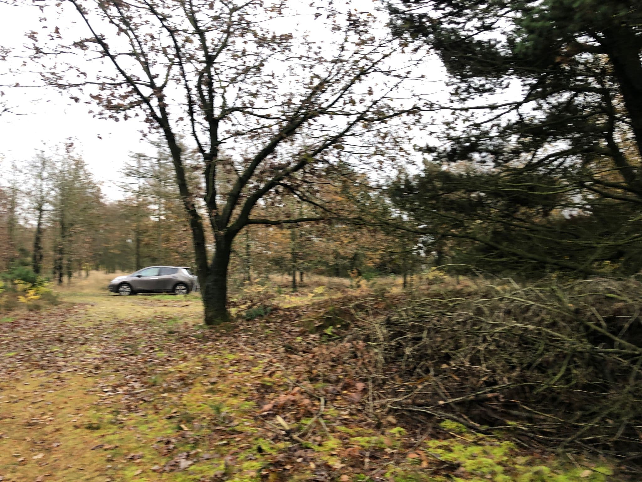 Street view near Nørhede Shelter, Vemb — © peterleth (CC BY-SA · Mapillary)