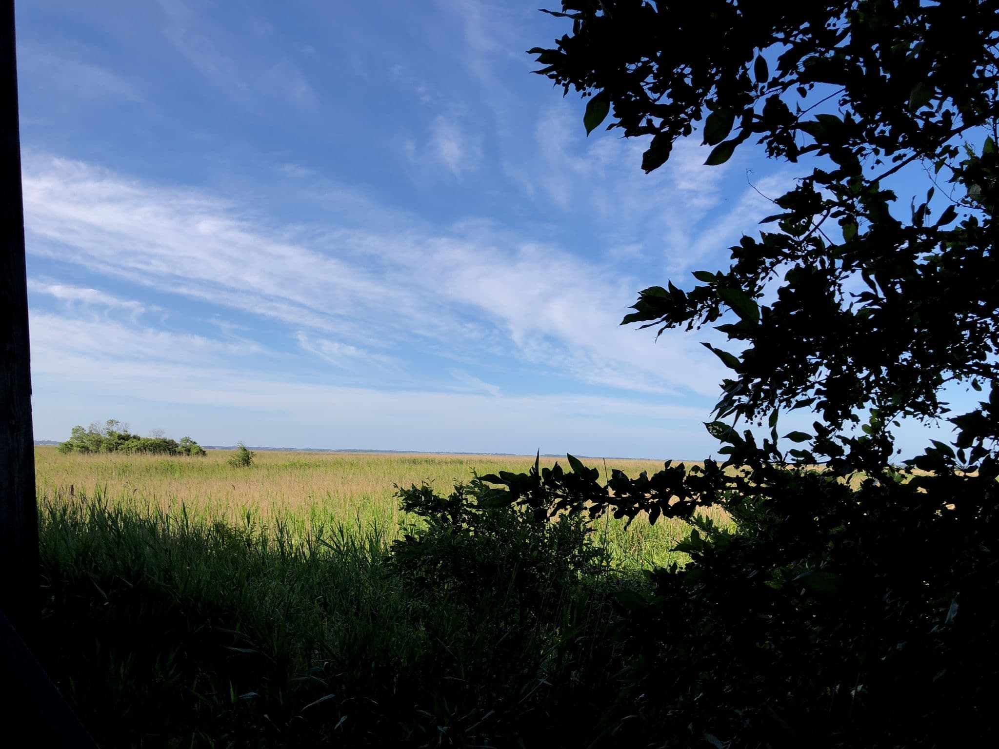 Street view near Gørding Fugletårn, Vemb — © peterleth (CC BY-SA · Mapillary)