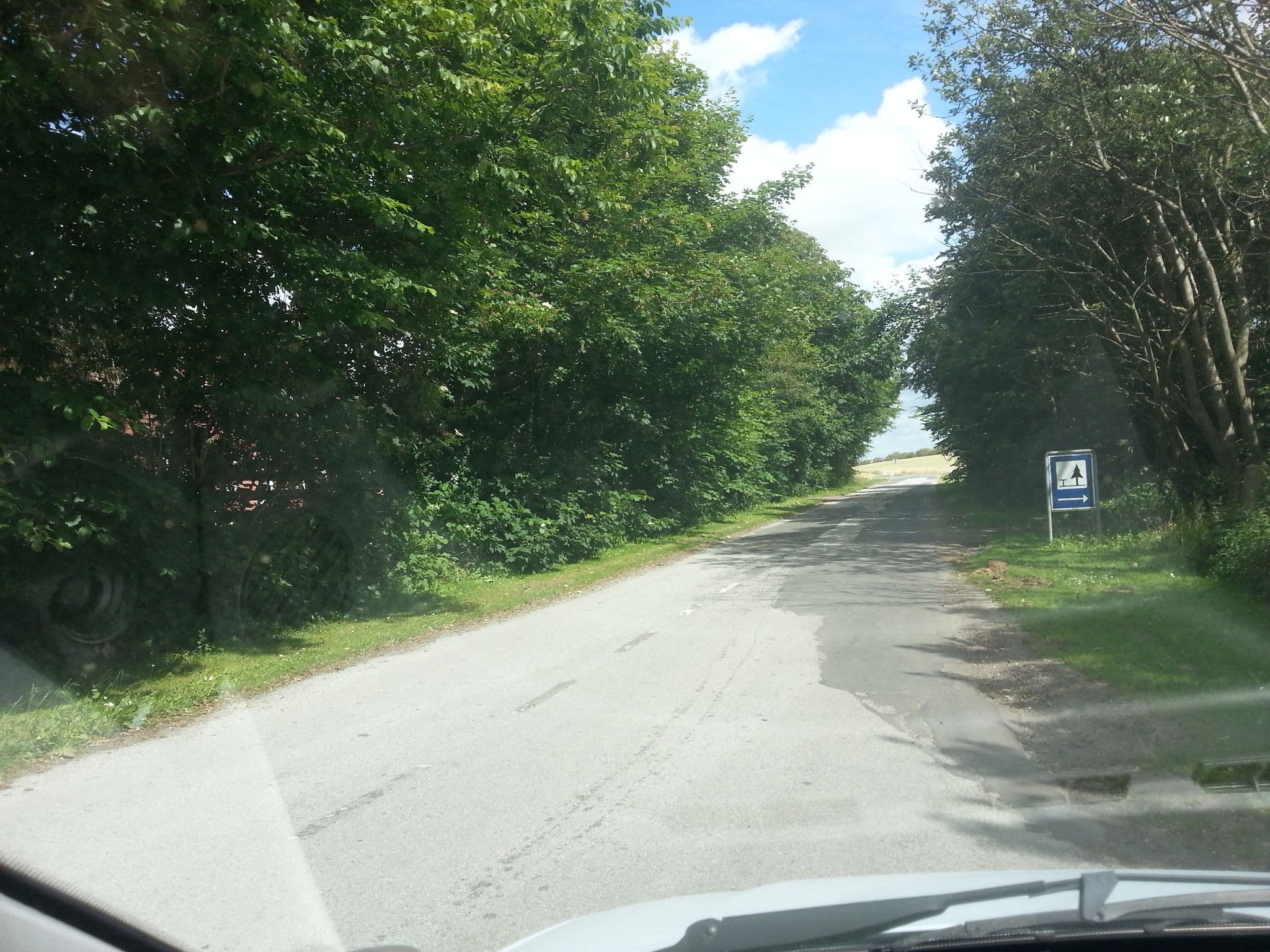 Street view near Dybe Shelterplads, Lemvig — © mikini (CC BY-SA · Mapillary)