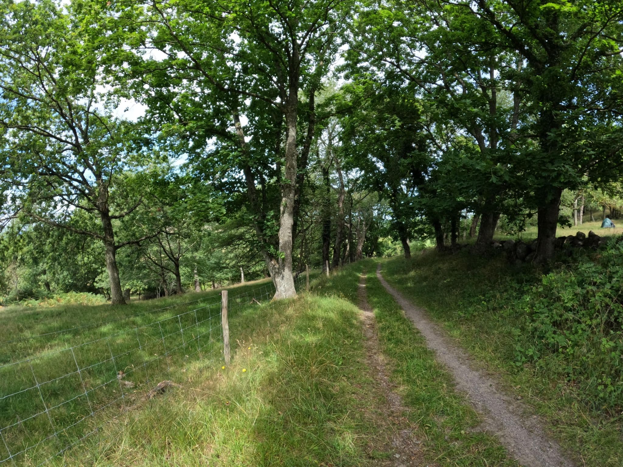 Street view near Hammersholm, Allinge — © fod (CC BY-SA · Mapillary)