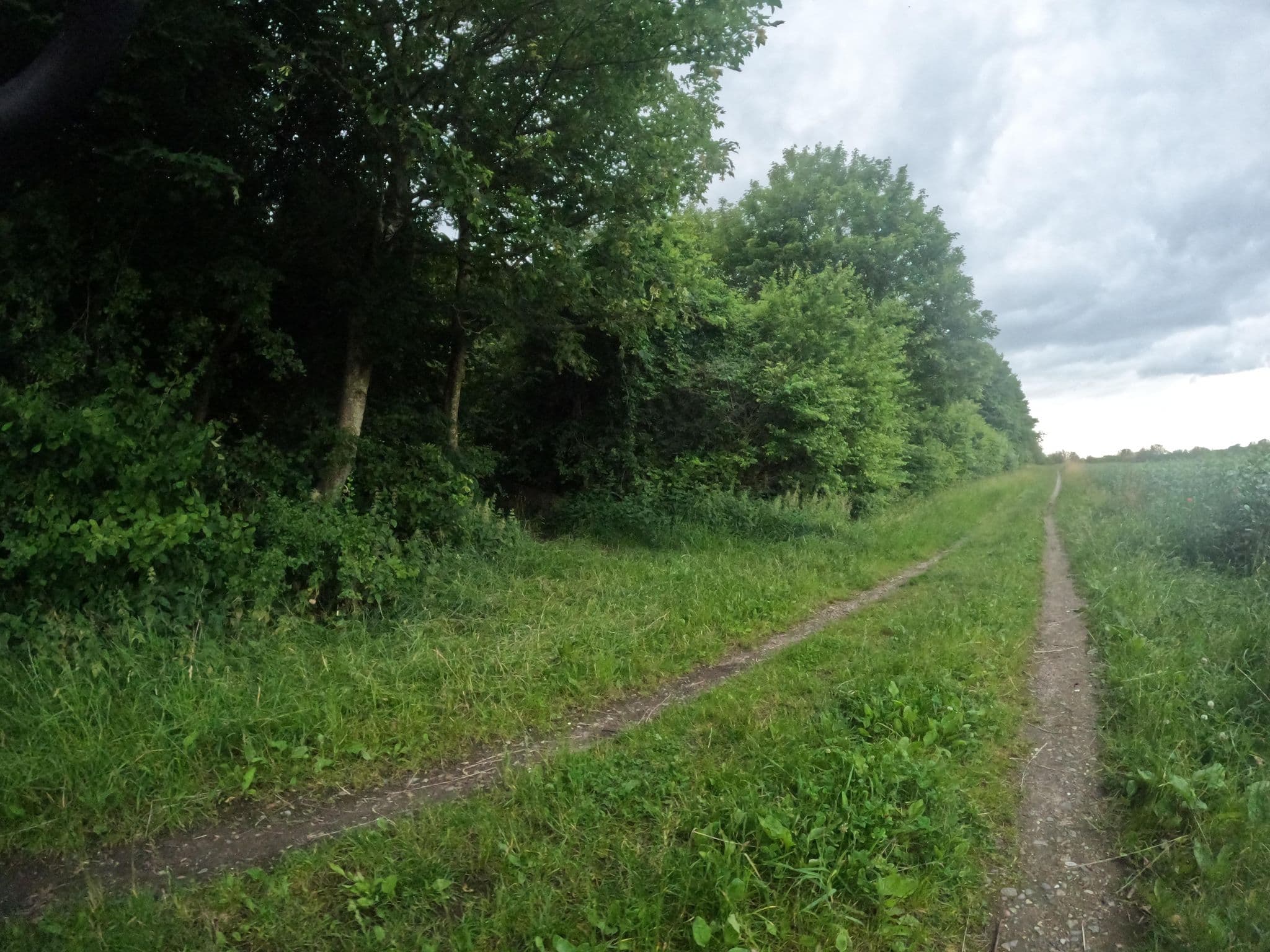Street view near Shelter ved Tusculanum, Taastrup — © fod (CC BY-SA · Mapillary)