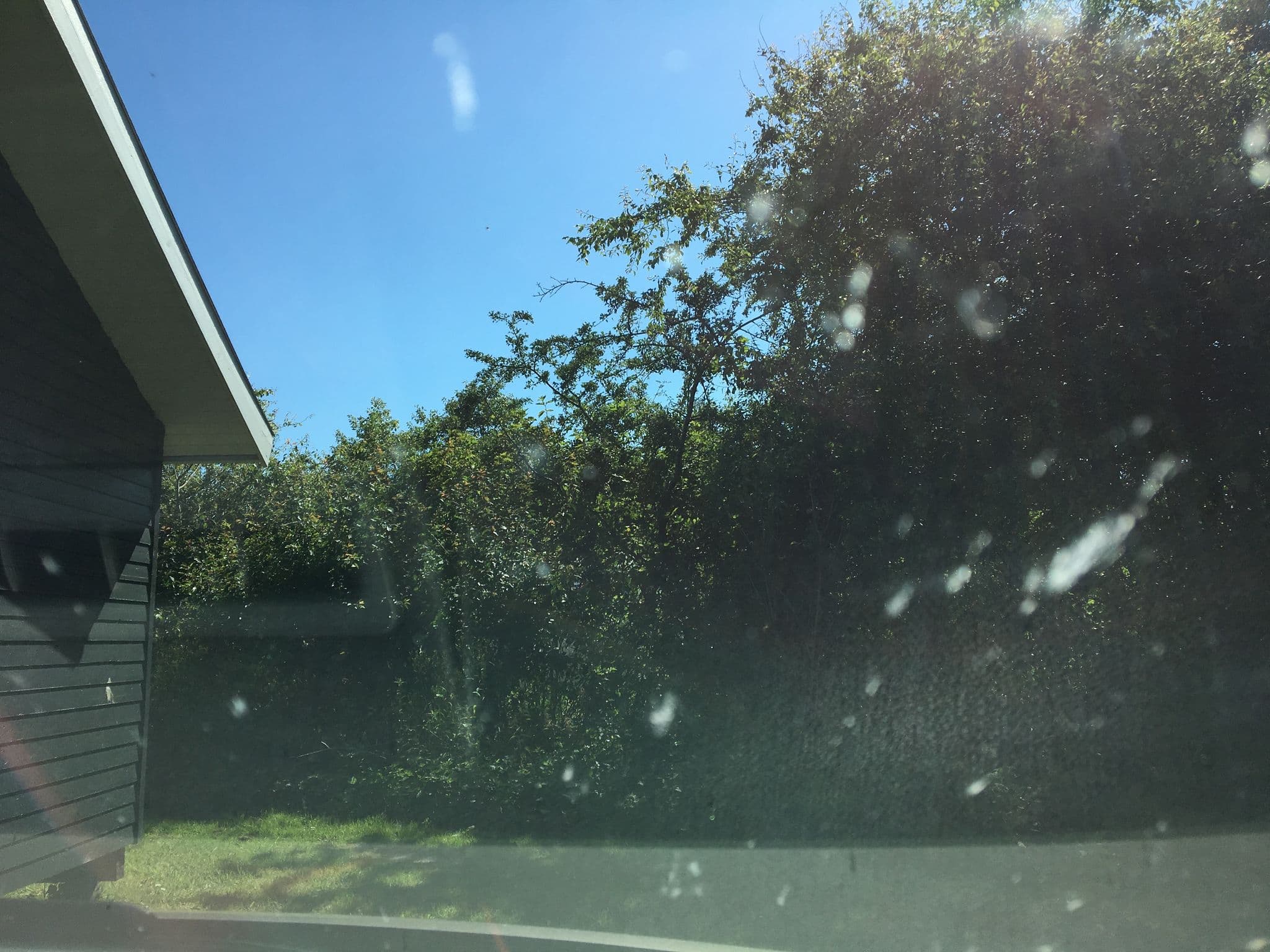 Street view near Thurø Camping, Thurø By — © sannemik (CC BY-SA · Mapillary)