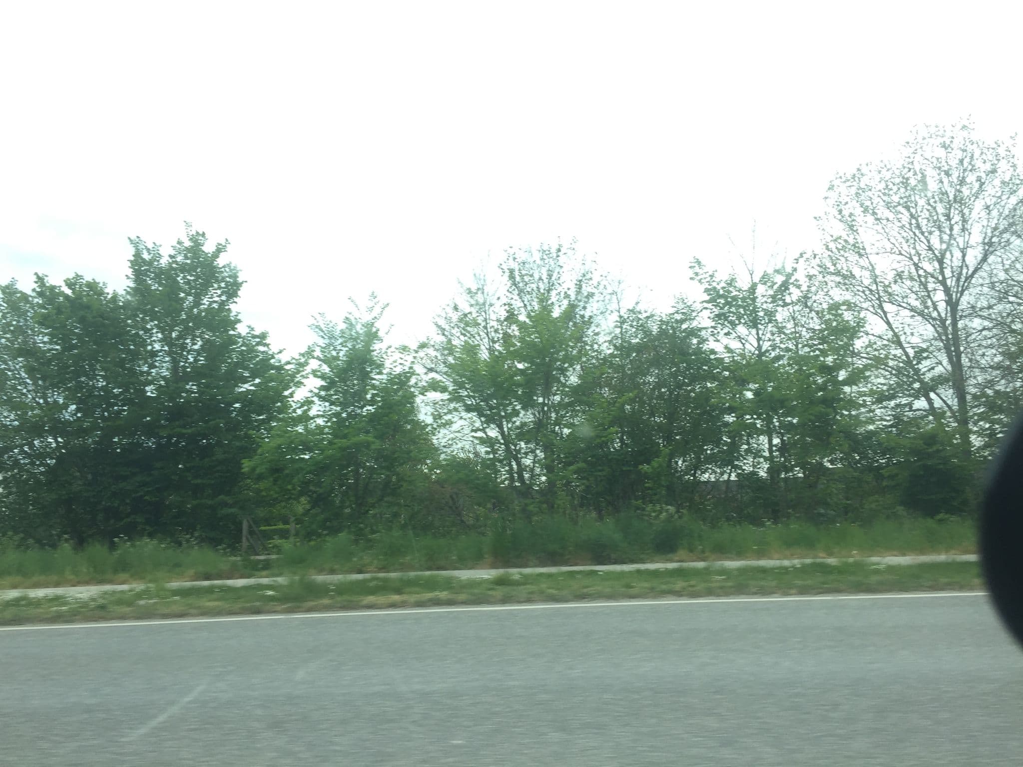 Street view near Hotel Lillevang, Slagelse — © fod (CC BY-SA · Mapillary)