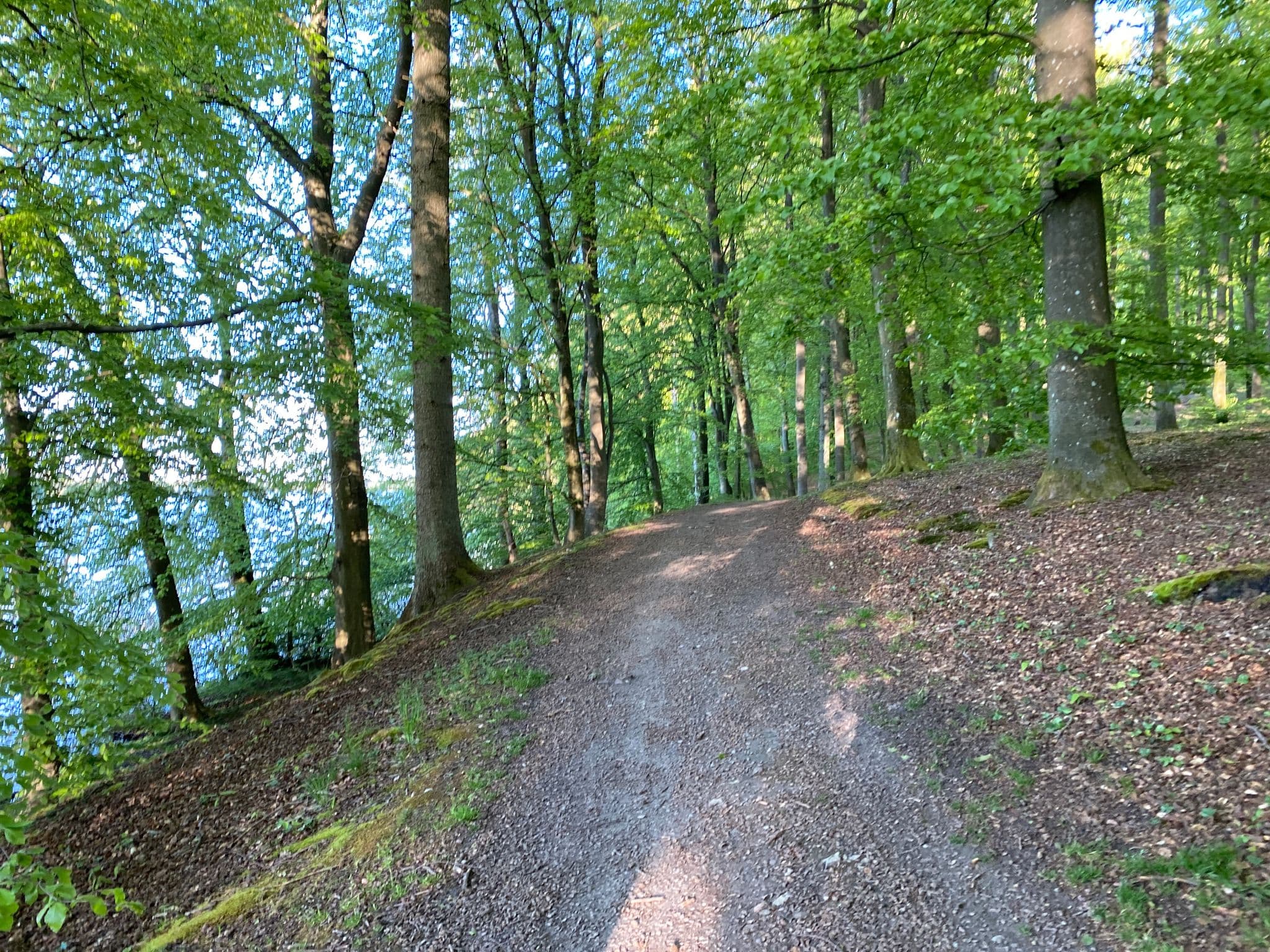 Street view near Lones minde, Farum — © pca (CC BY-SA · Mapillary)