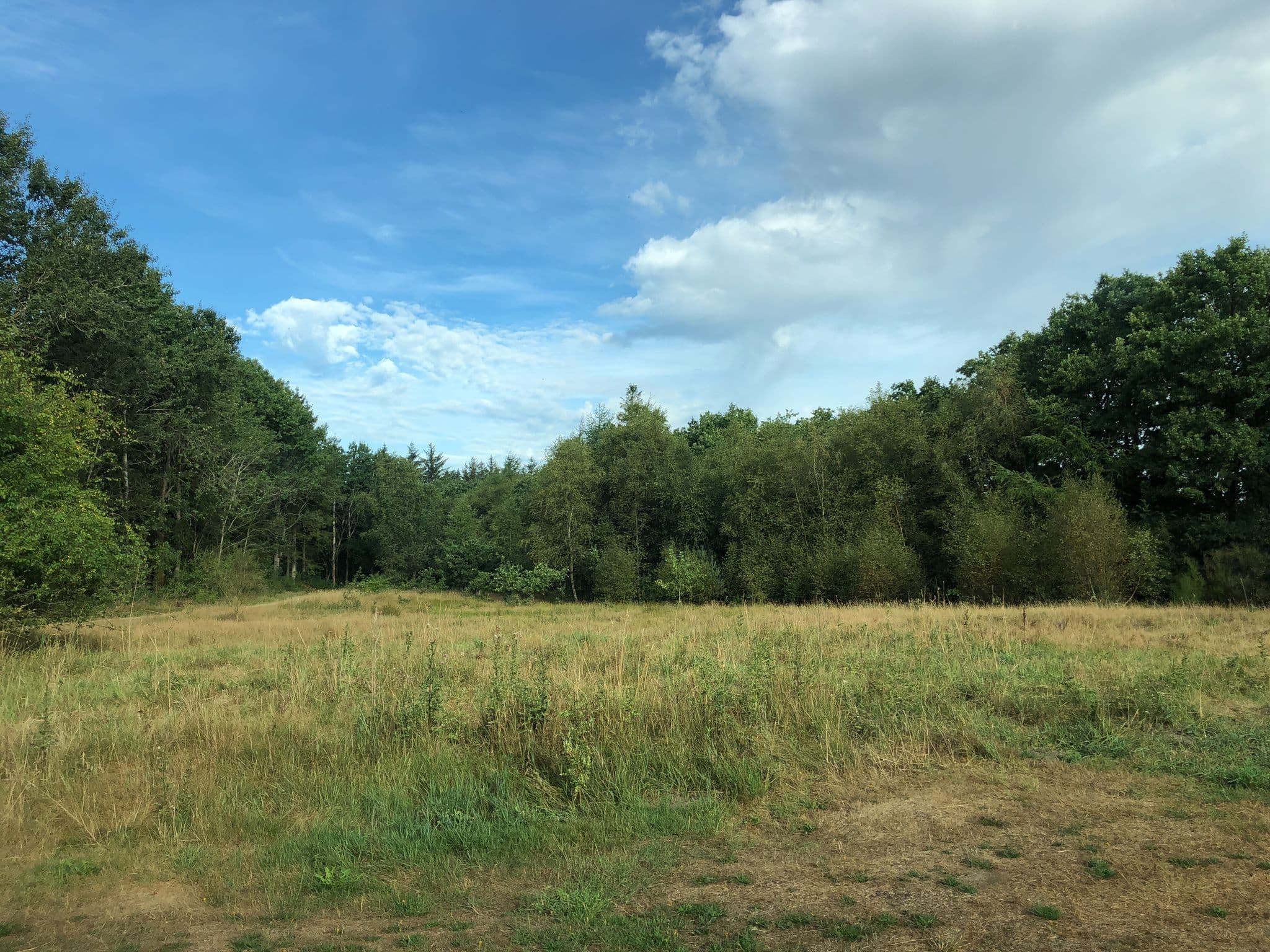 Street view near Sørup Dam Teltplads, Ulfborg — © peterleth (CC BY-SA · Mapillary)