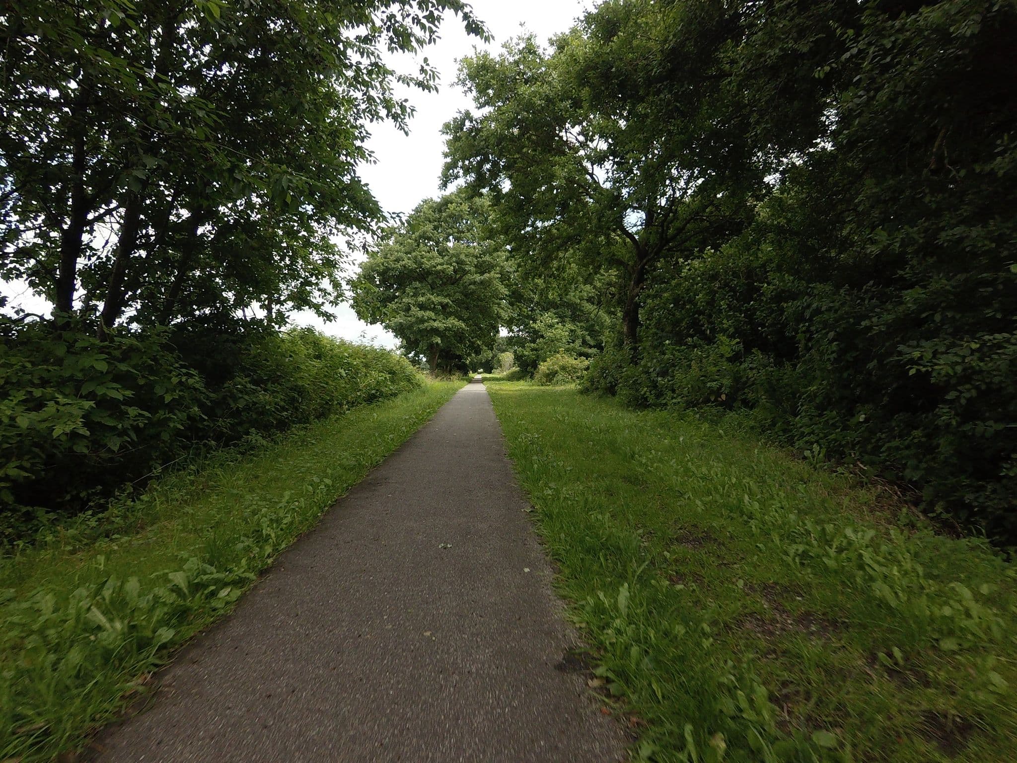 Street view near Skorup, Gjernbanen, Thorsø — © mvl (CC BY-SA · Mapillary)