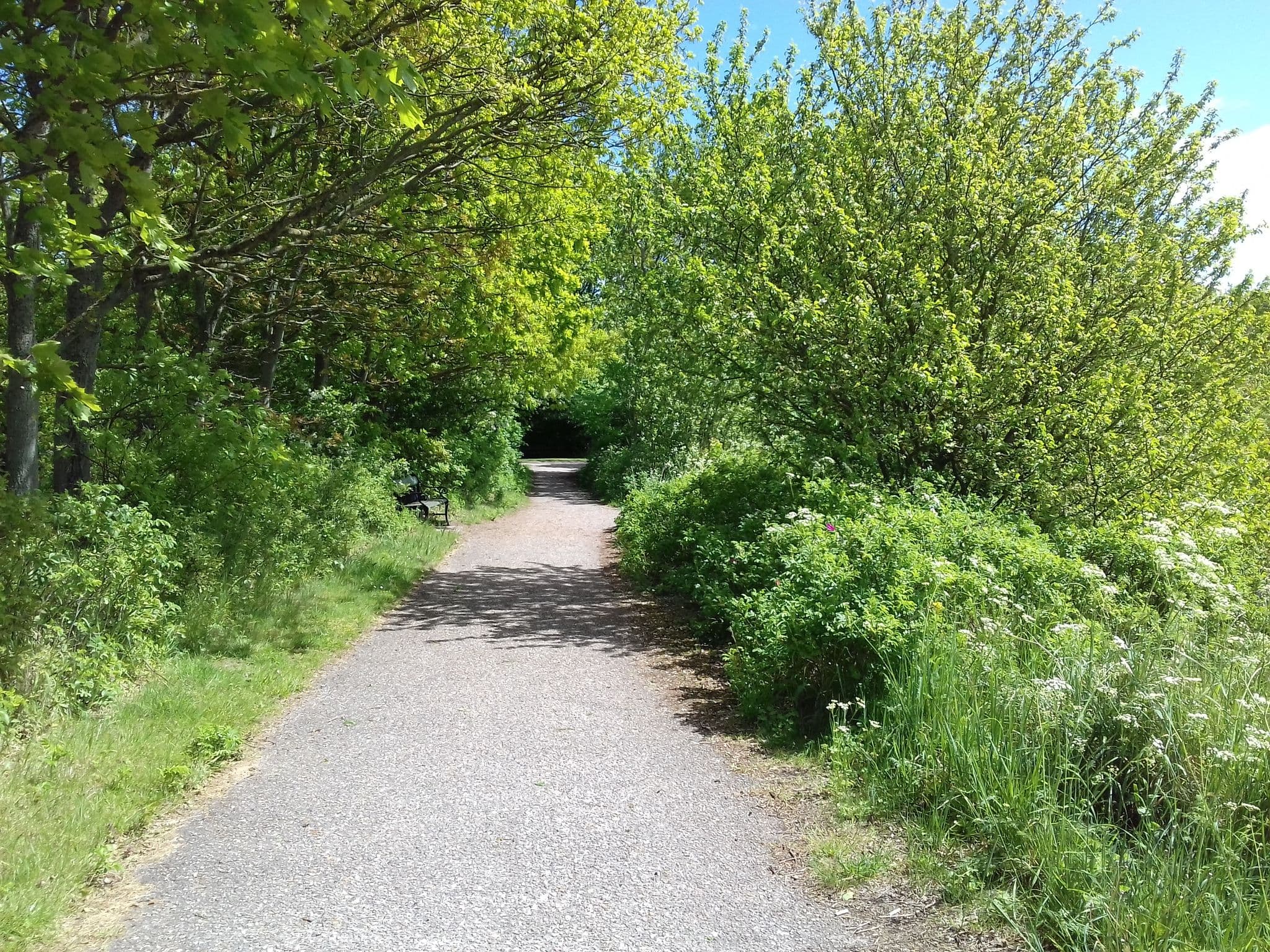 Street view near Sønderborg Lystbådehavn Autocamperplads, Sønderborg — © wusel007 (CC BY-SA · Mapillary)