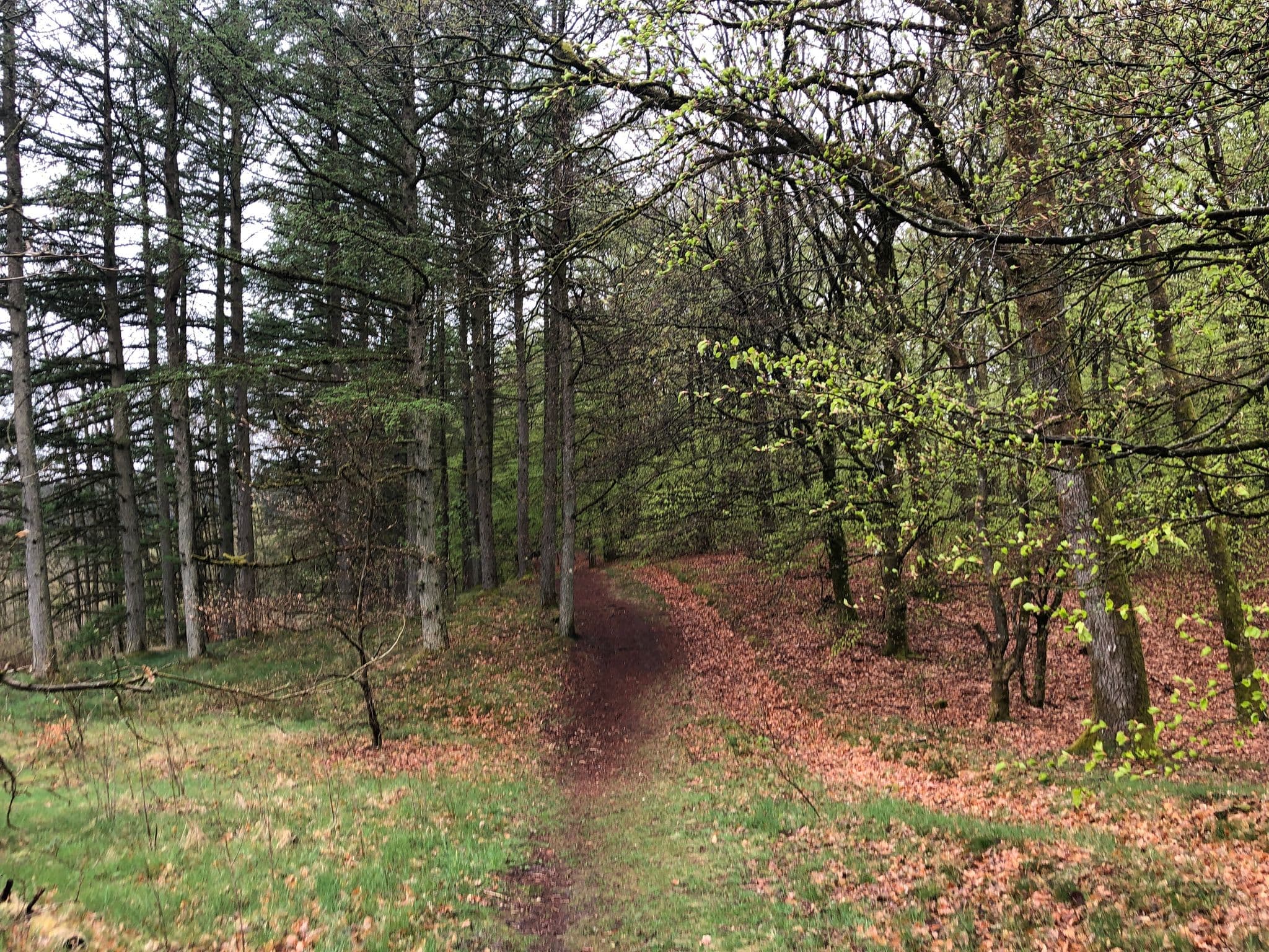 Street view near Skibakken, Lemvig — © peterleth (CC BY-SA · Mapillary)