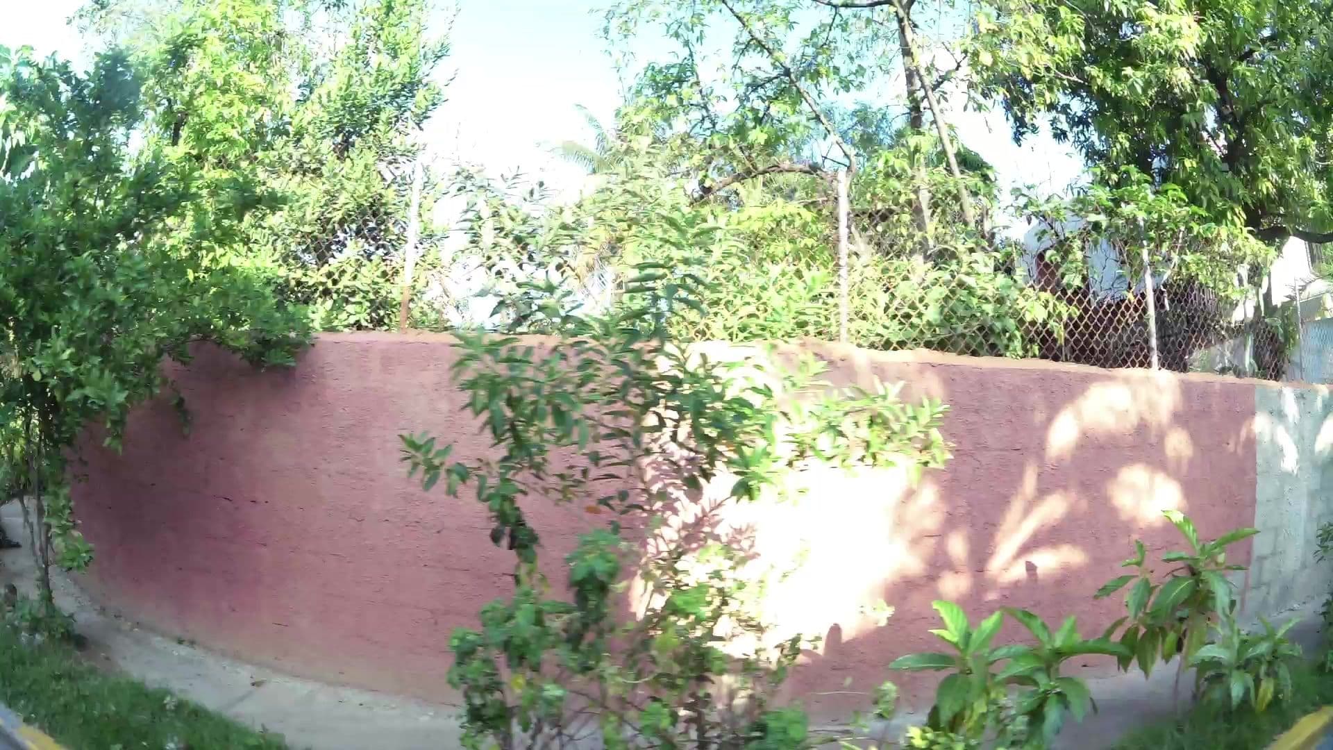 Street view near Residencial Noelia, Ensanche Luperón