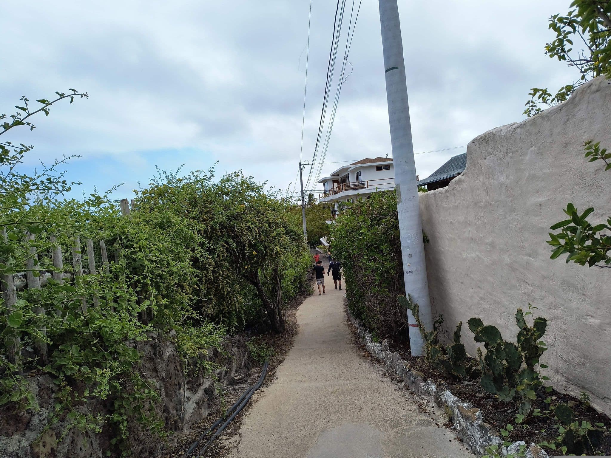 Street view near Chalet Galaqagos, Puerto Ayora — © mapeadora (CC BY-SA · Mapillary)
