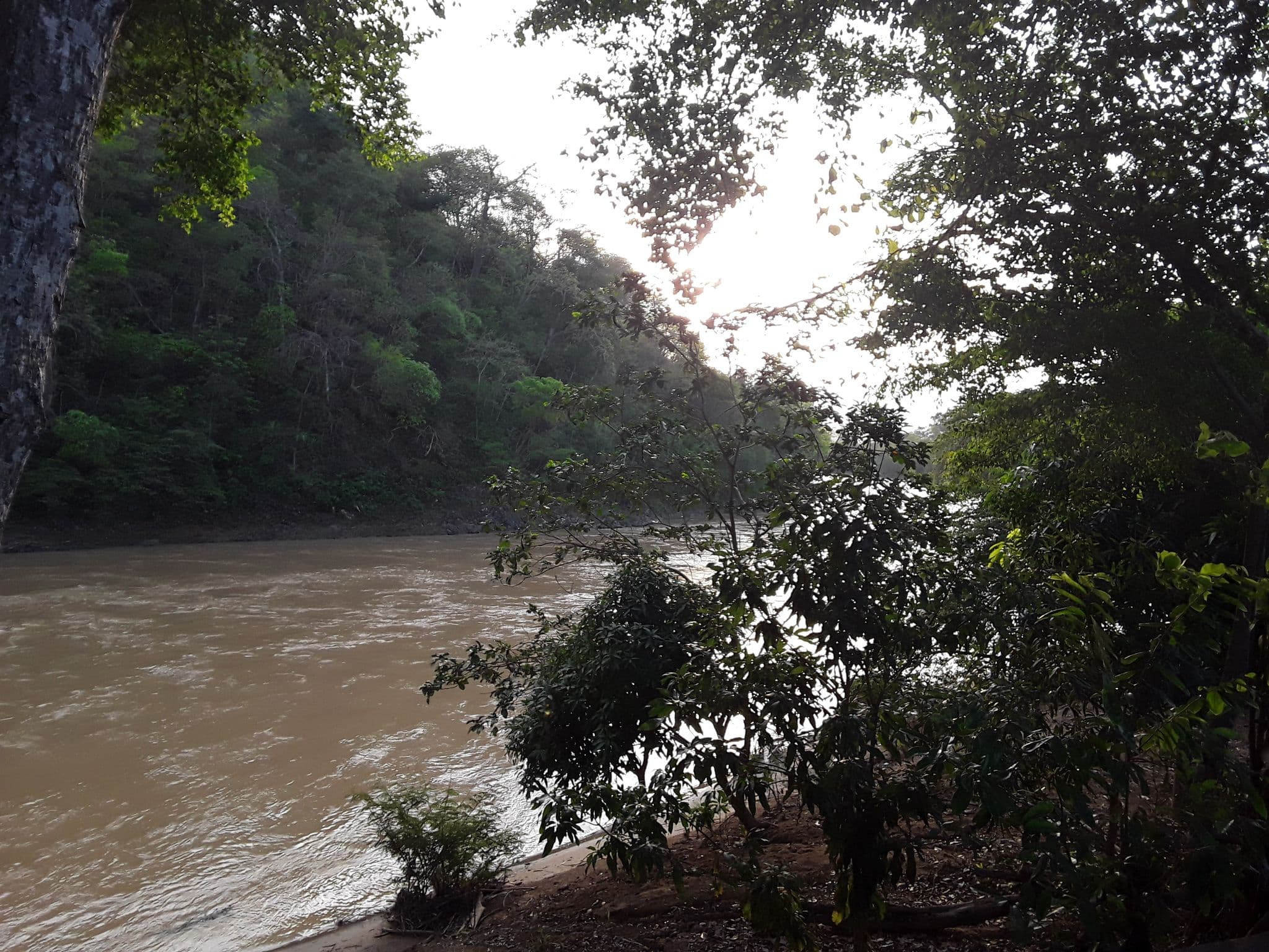 Street view near Puyango Viejo, Marcabelí — © janvanbekkum (CC BY-SA · Mapillary)