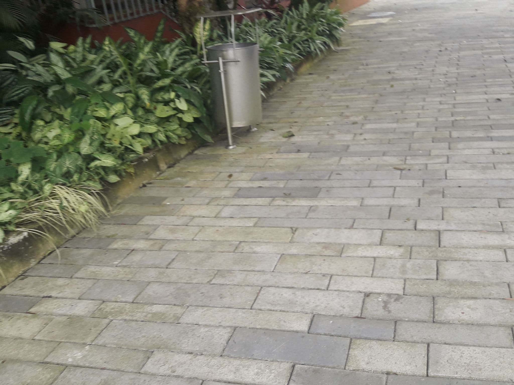 Street view near Hotel los Yutzos, Tena — © yesenia22 (CC BY-SA · Mapillary)