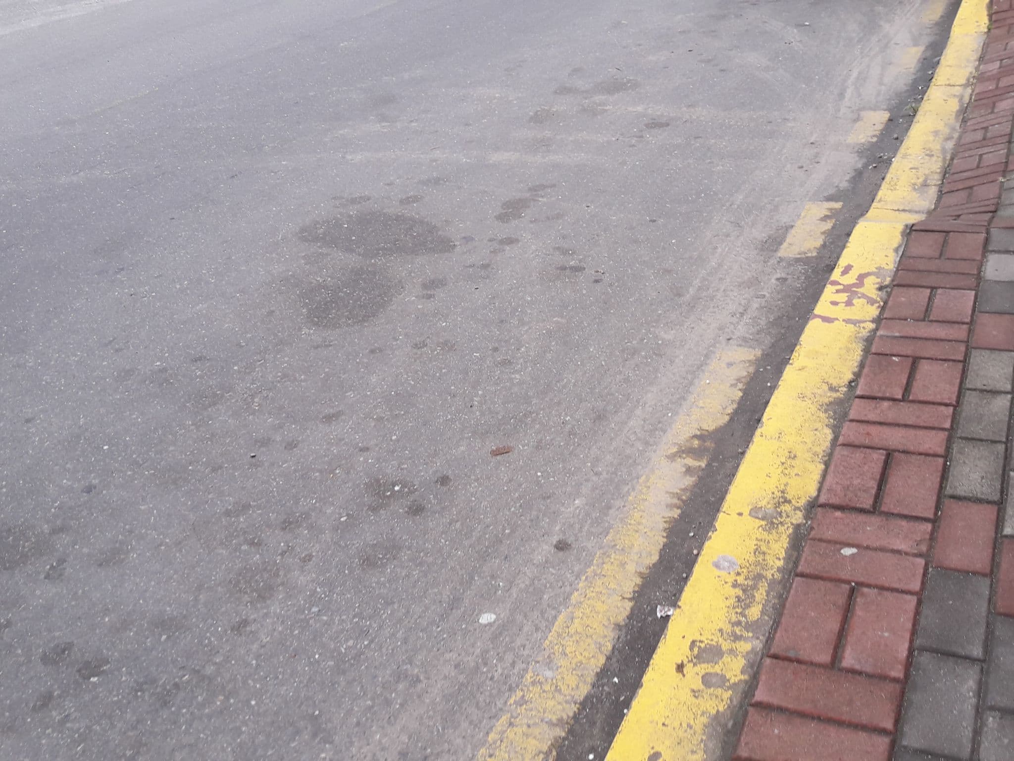 Street view near Hostal Erica, Tena — © yesenia22 (CC BY-SA · Mapillary)