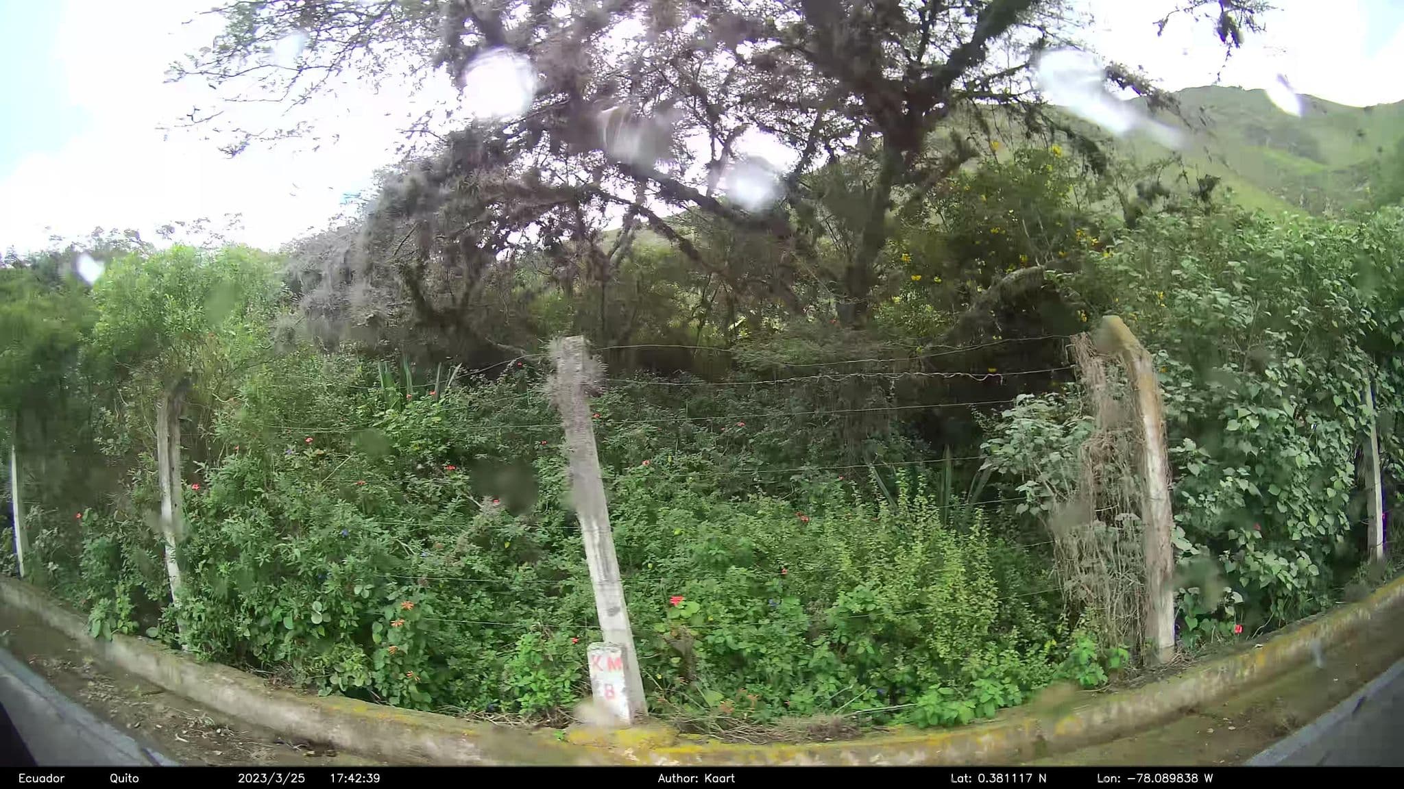 Street view near The Garden, Ibarra — © kaart_2 (CC BY-SA · Mapillary)