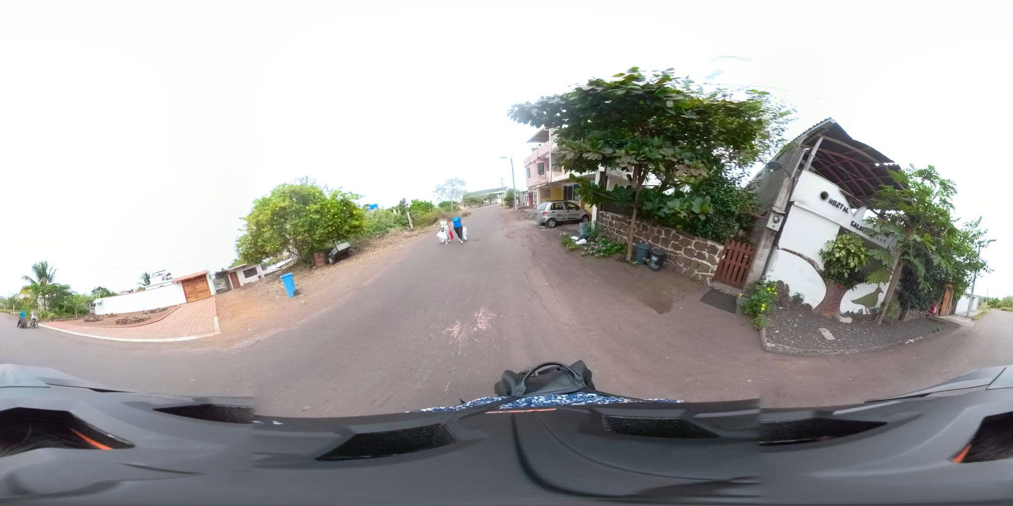 Street view near Galápagos Dove, Puerto Ayora — © sdanielzer (CC BY-SA · Mapillary)