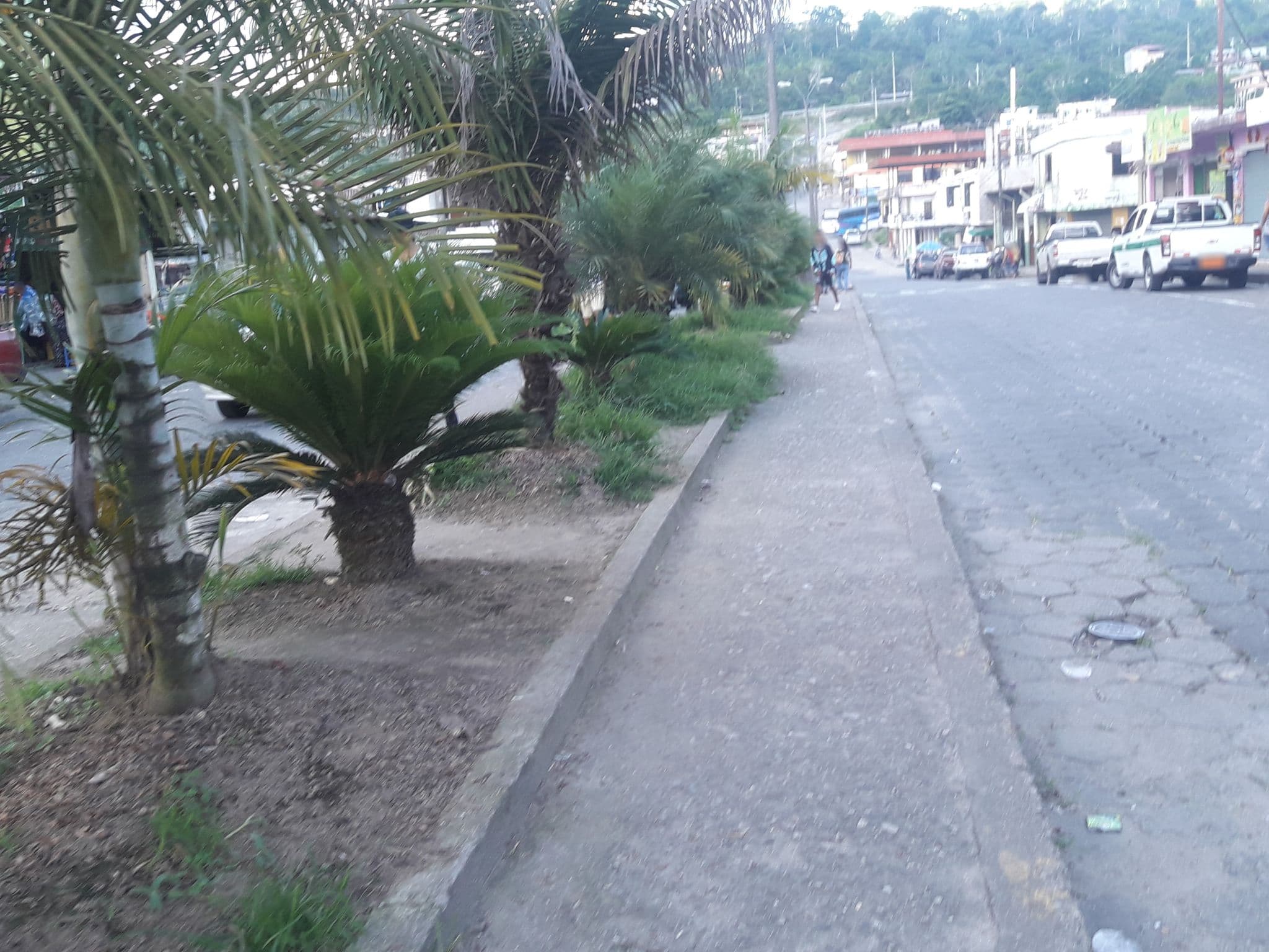 Street view near Media Noche Hostel, Tena — © yesenia22 (CC BY-SA · Mapillary)