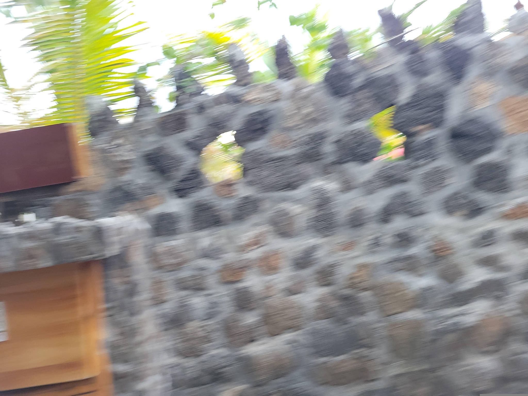 Street view near Angermeyer Waterfront, Puerto Ayora — © mlpz (CC BY-SA · Mapillary)