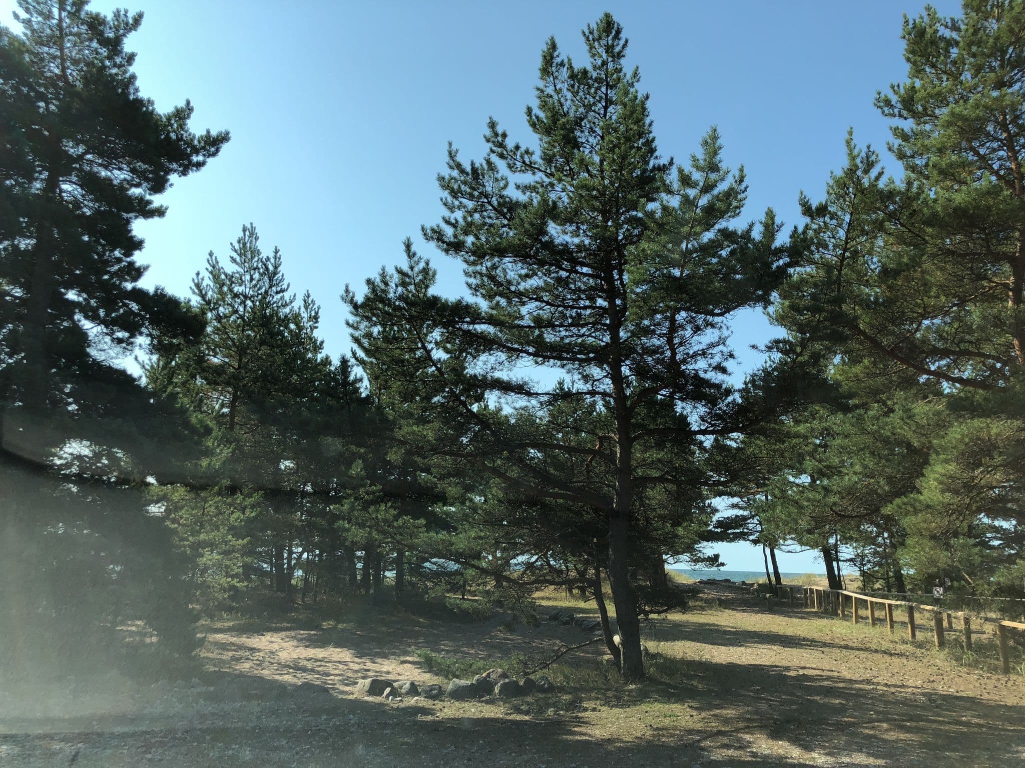 Street view near Kaleste telkimisala, Kärdla — © till (CC BY-SA · Mapillary)
