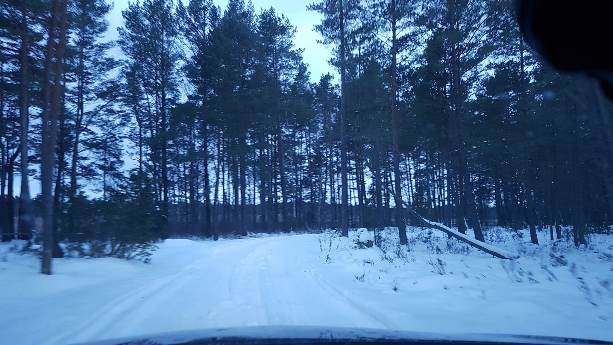 Street view near Lepaaugu lõkkekoht, Paldiski — © roadexplorer001 (CC BY-SA · Mapillary)