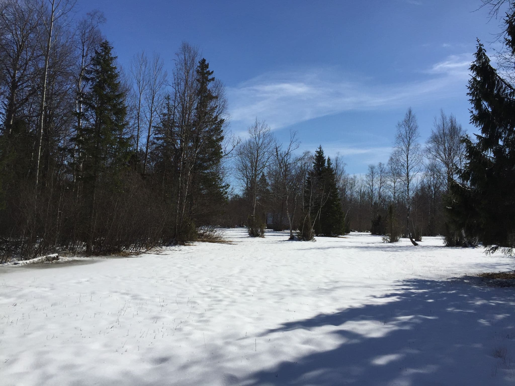 Street view near Nedrema puisniidu lõkkekoht, Lihula — © richlv (CC BY-SA · Mapillary)
