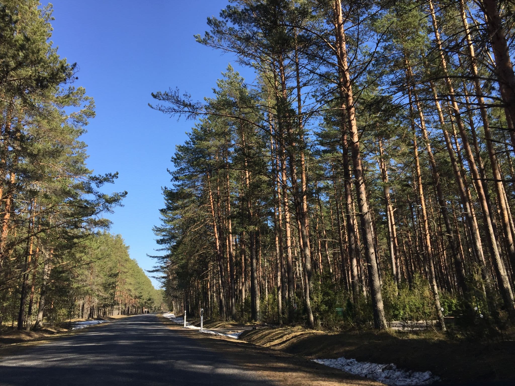Street view near Okka Puhkemaja, Iisaku — © richlv (CC BY-SA · Mapillary)