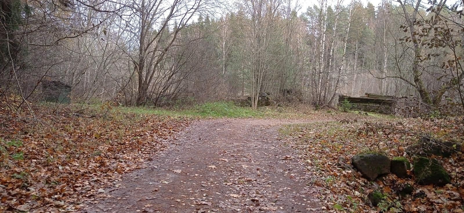 Street view near Otteni metsamaja, Põlva — © black (CC BY-SA · Mapillary)
