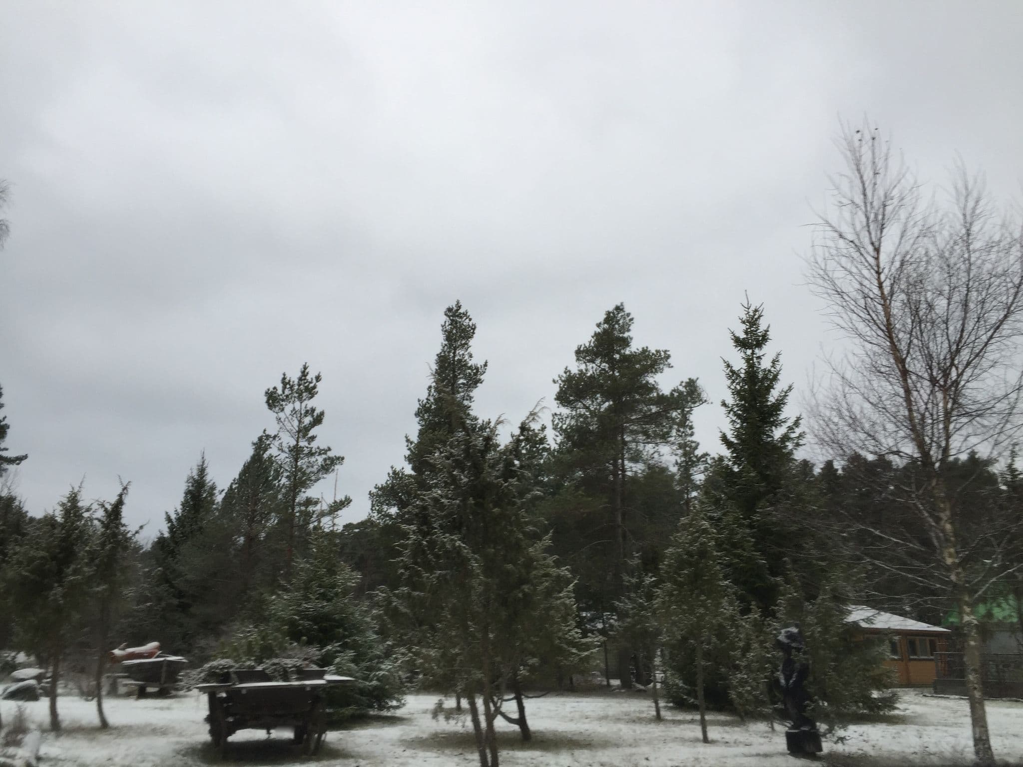 Street view near Kuivastujaani, Orissaare — © richlv (CC BY-SA · Mapillary)