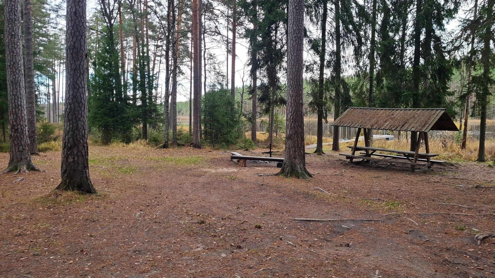 Street view near Laho metsaonn, Põlva — © Koit46 (CC BY-SA · Mapillary)