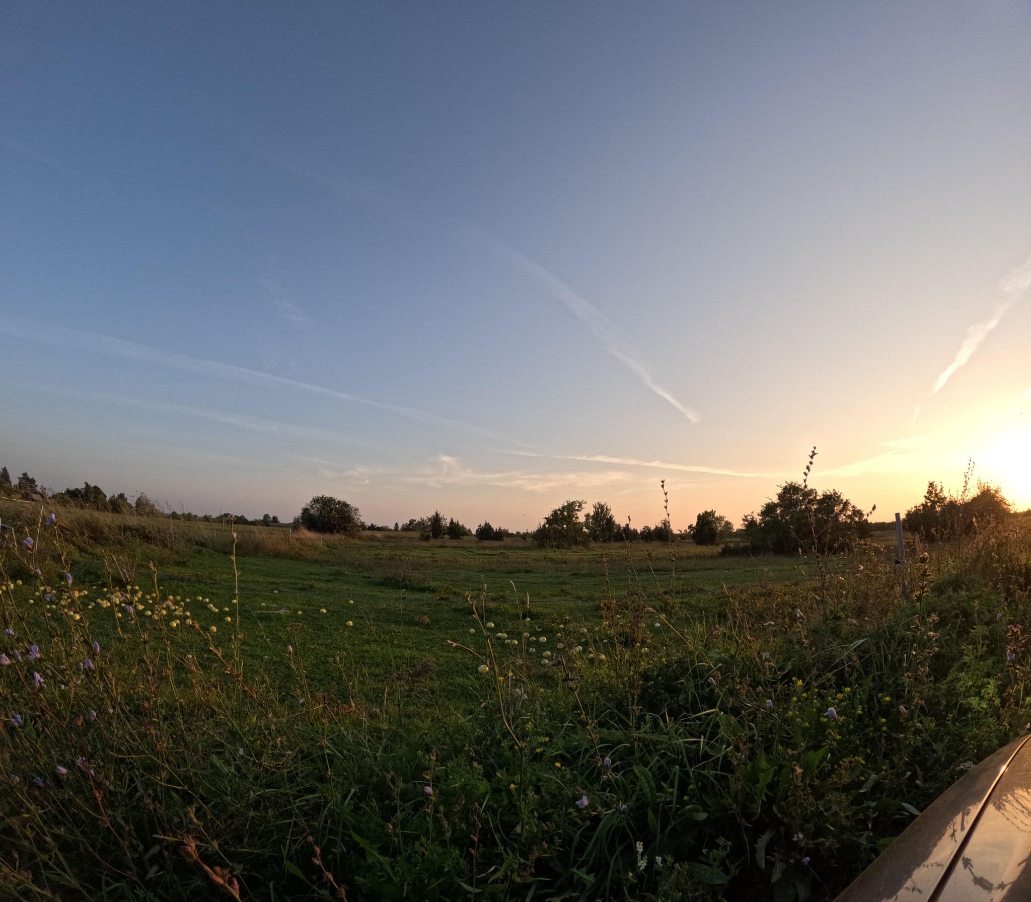 Street view near Anne's Cottage, Ridala — © richlv (CC BY-SA · Mapillary)