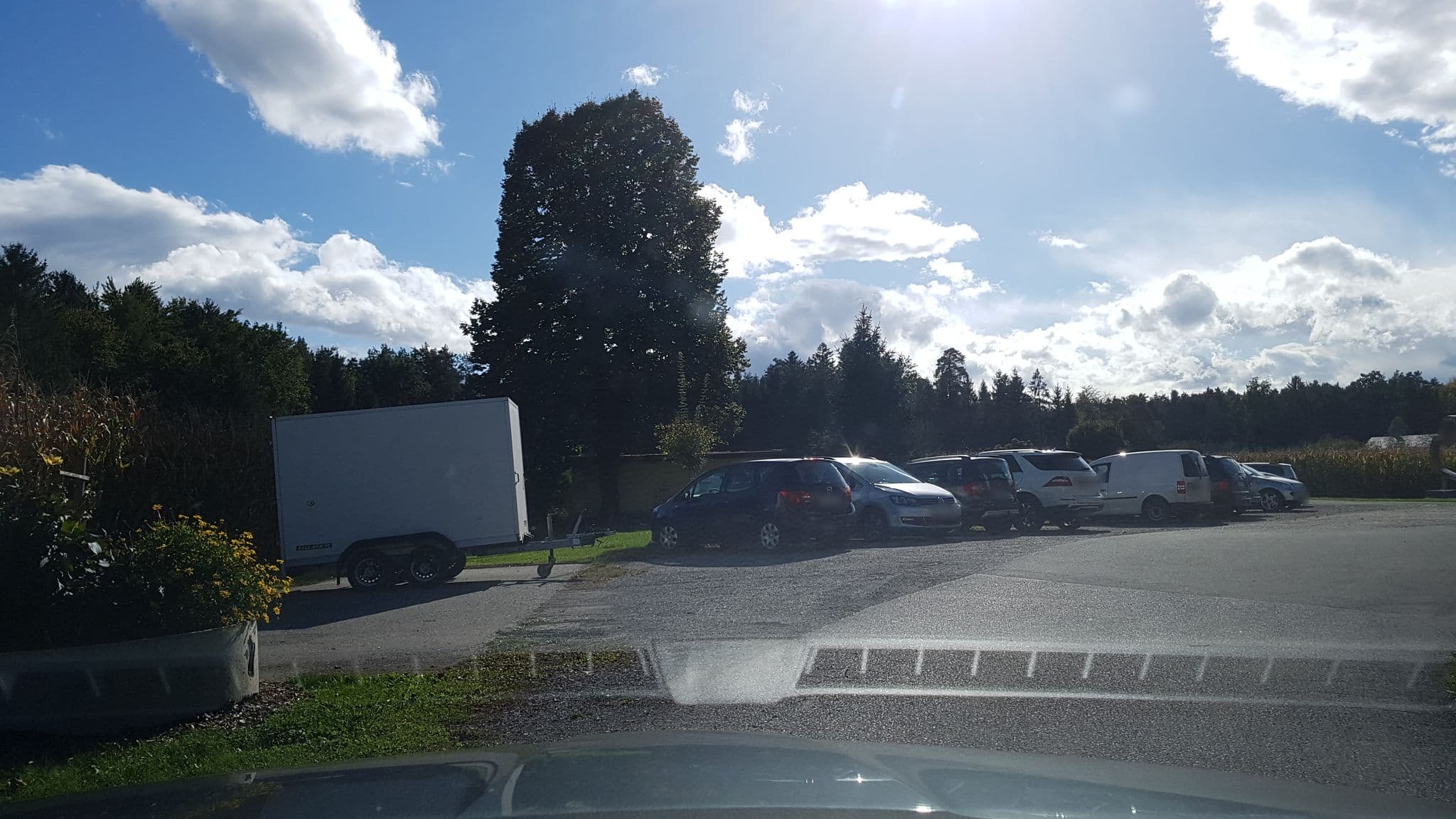 Street view near Gasthof Martinhof, Brunn — © schermy_at (CC BY-SA · Mapillary)