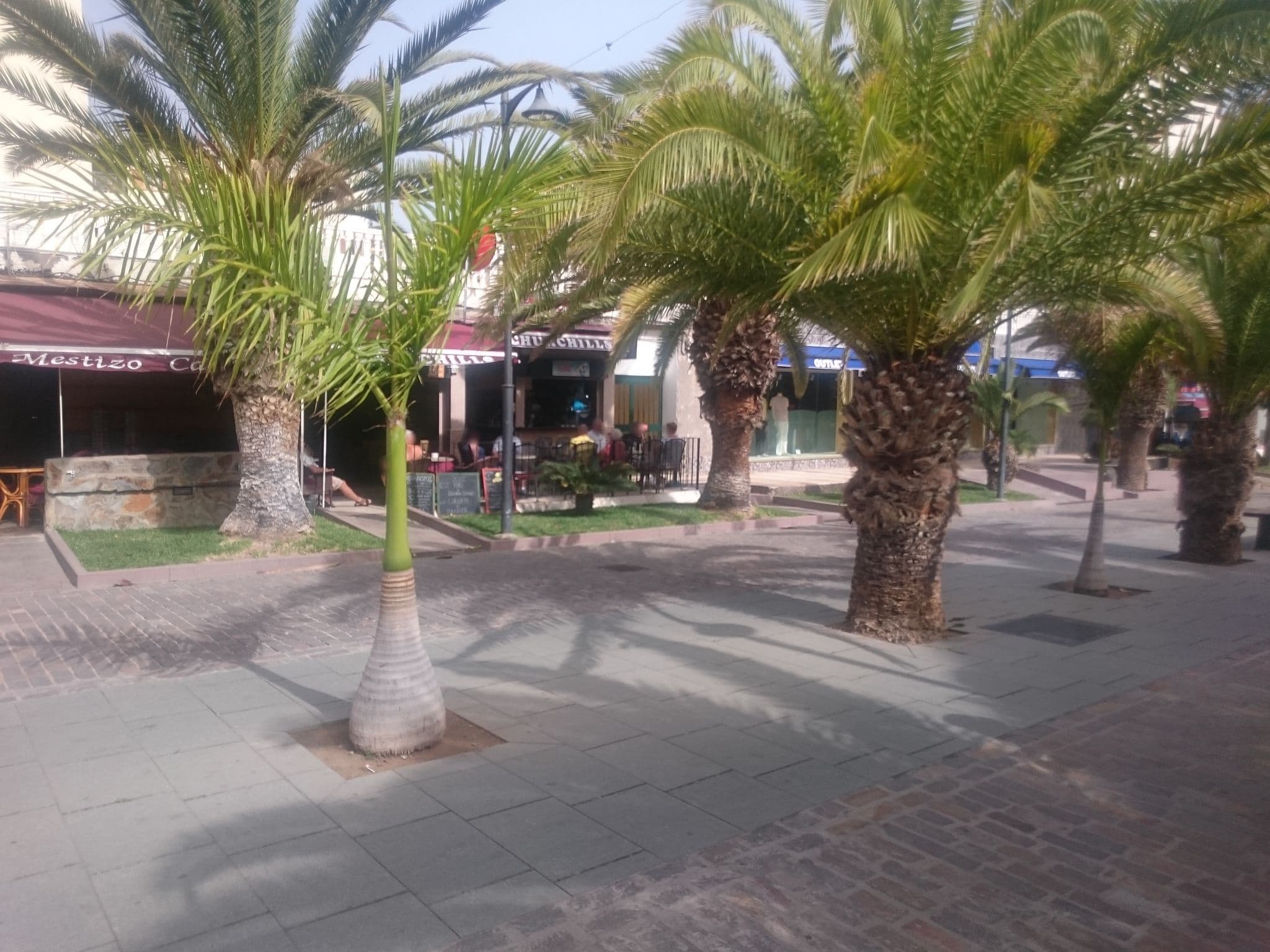 Street view near Ed Fayser, Playa de las Américas
