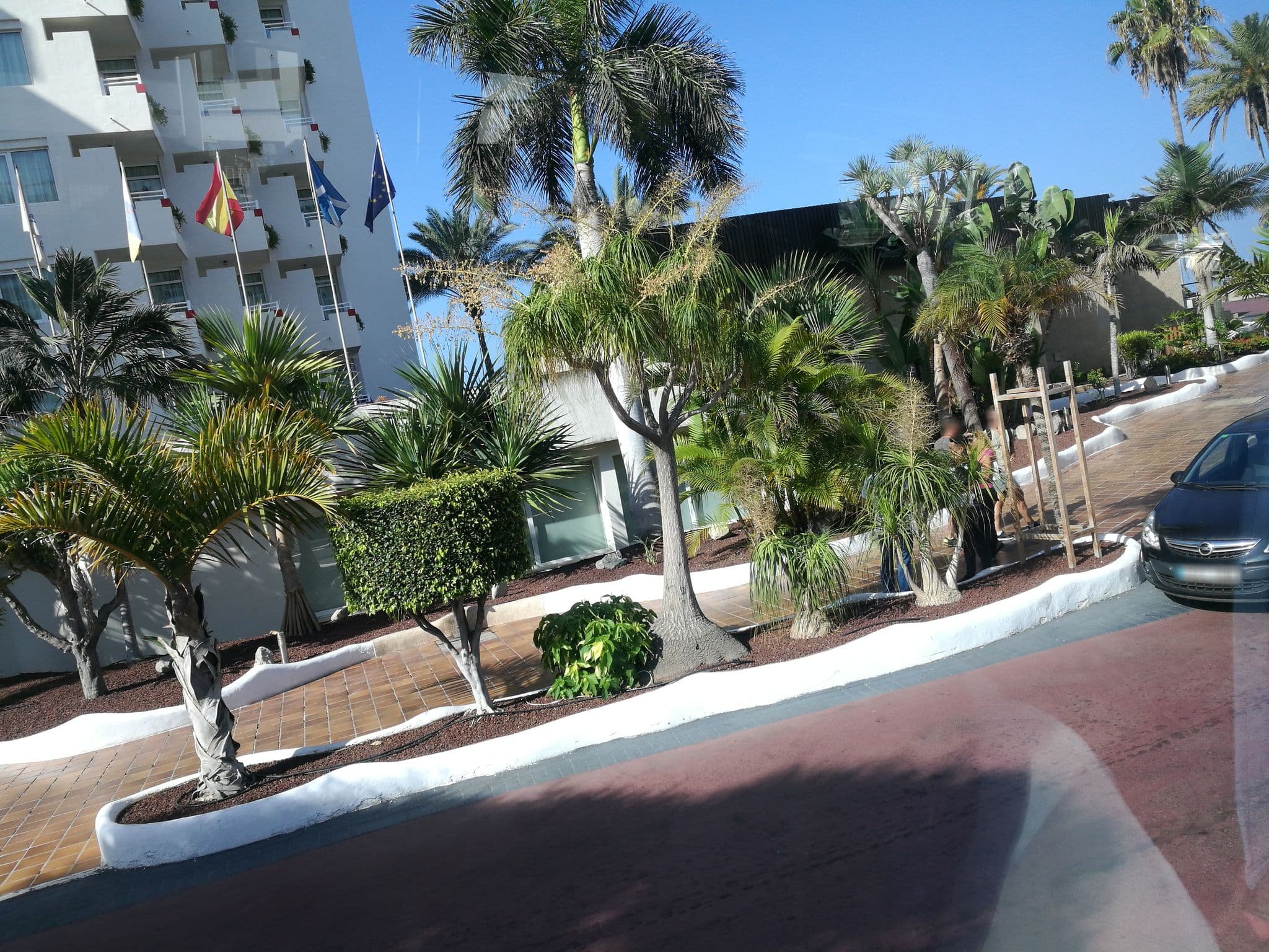 Street view near Alexandre Troya, Playa de las Américas