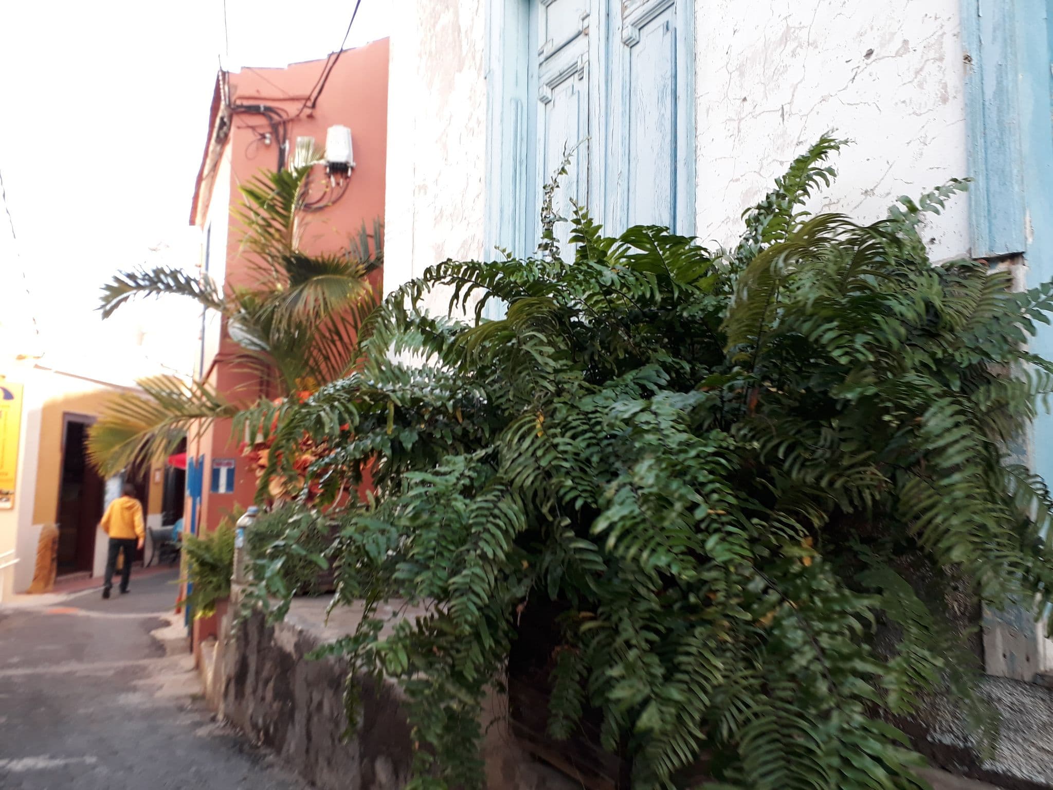 Street view near Casa David, Alajeró — © sp4rkie (CC BY-SA · Mapillary)