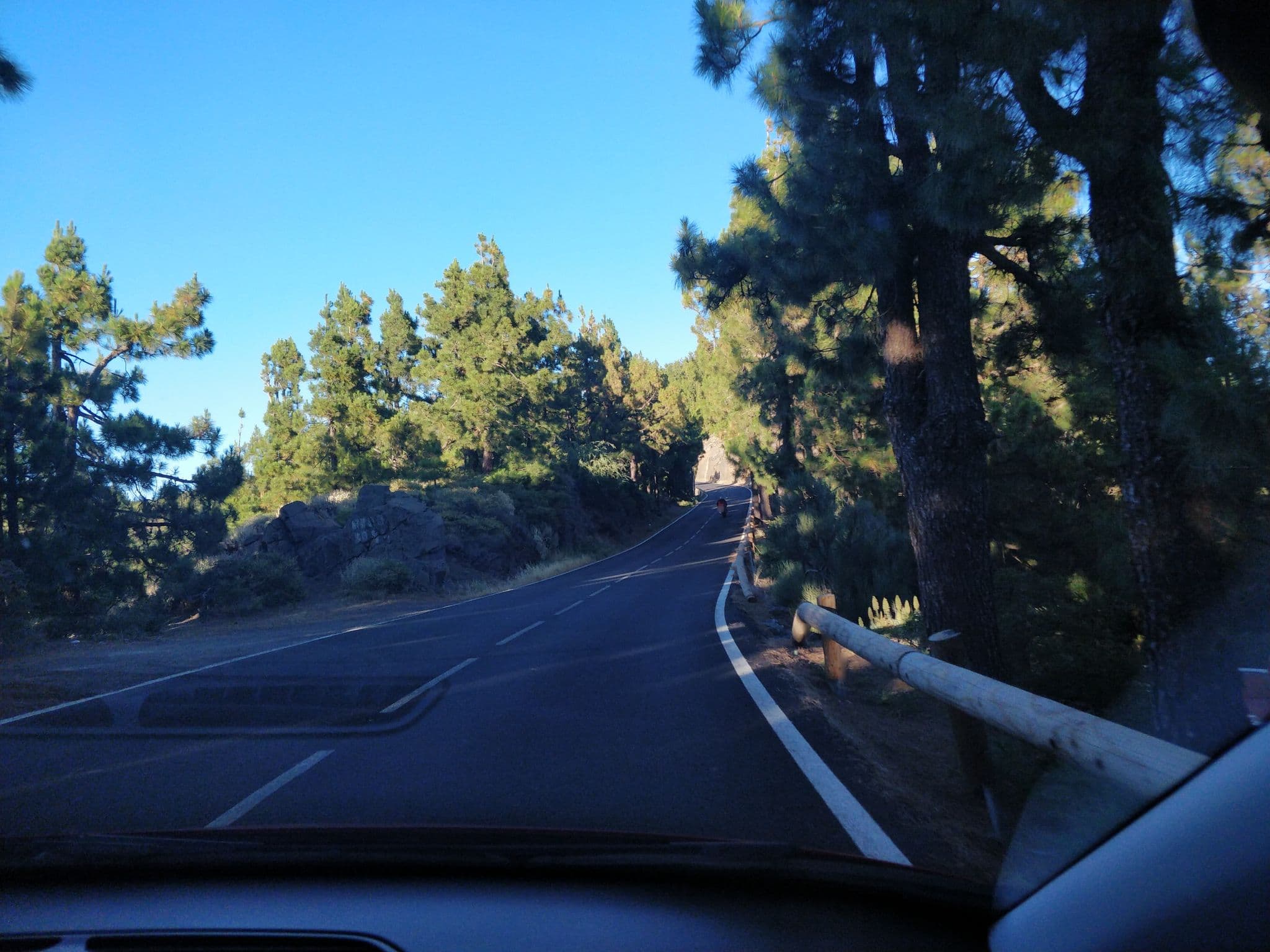 Street view near Refugio de Ayosa, Arafo — © cronoser (CC BY-SA · Mapillary)