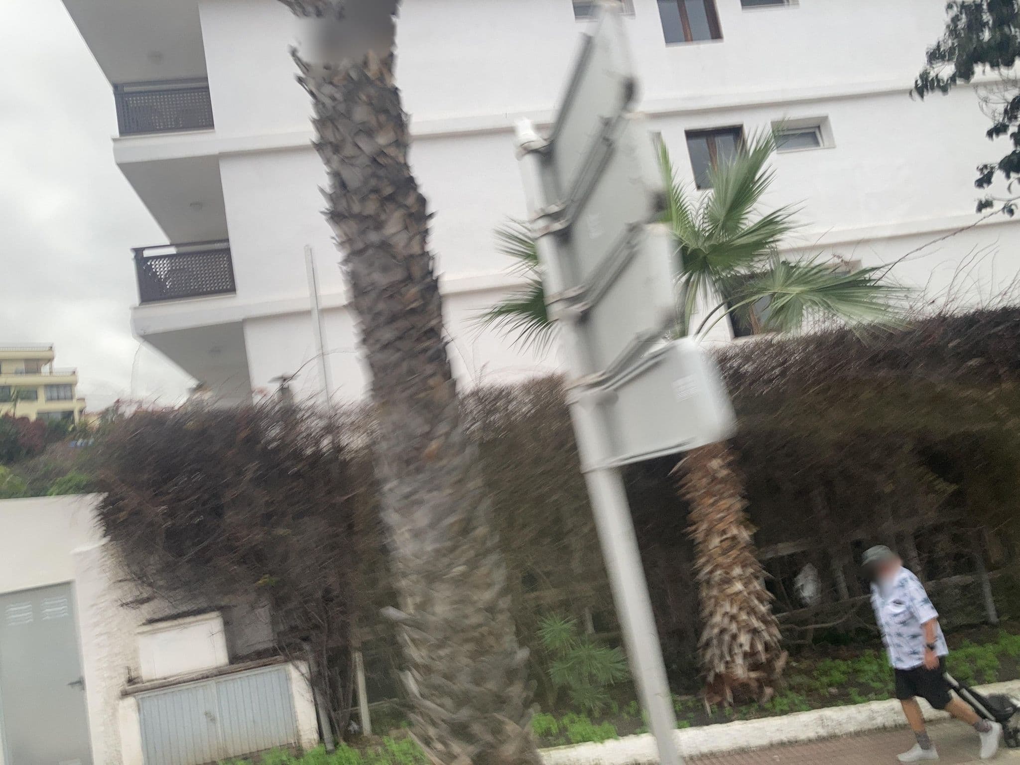 Street view near Pez Azul, Puerto de la Cruz — © tasmaniadevil (CC BY-SA · Mapillary)