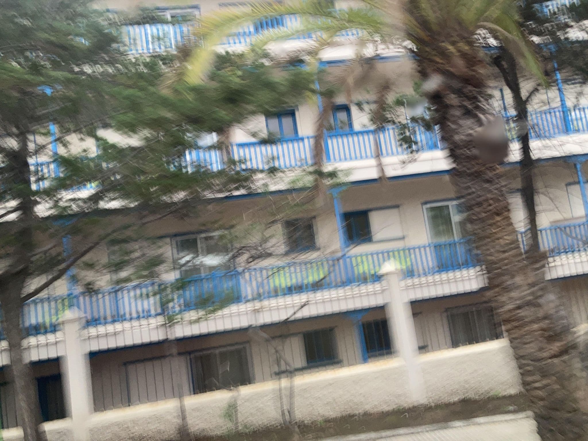 Street view near La Paz (closed), Puerto de la Cruz — © tasmaniadevil (CC BY-SA · Mapillary)