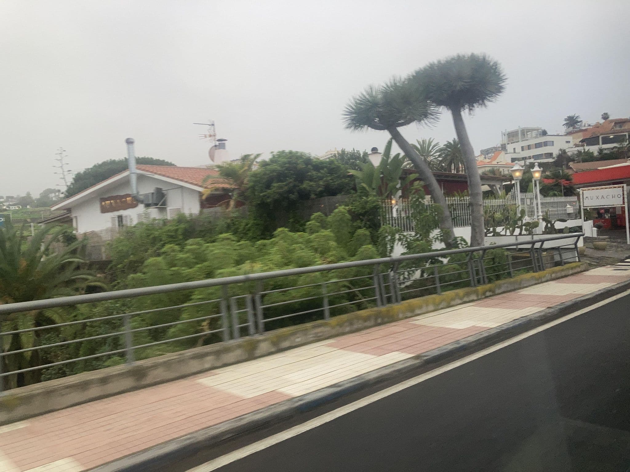 Street view near Chinyero, Puerto de la Cruz — © tasmaniadevil (CC BY-SA · Mapillary)