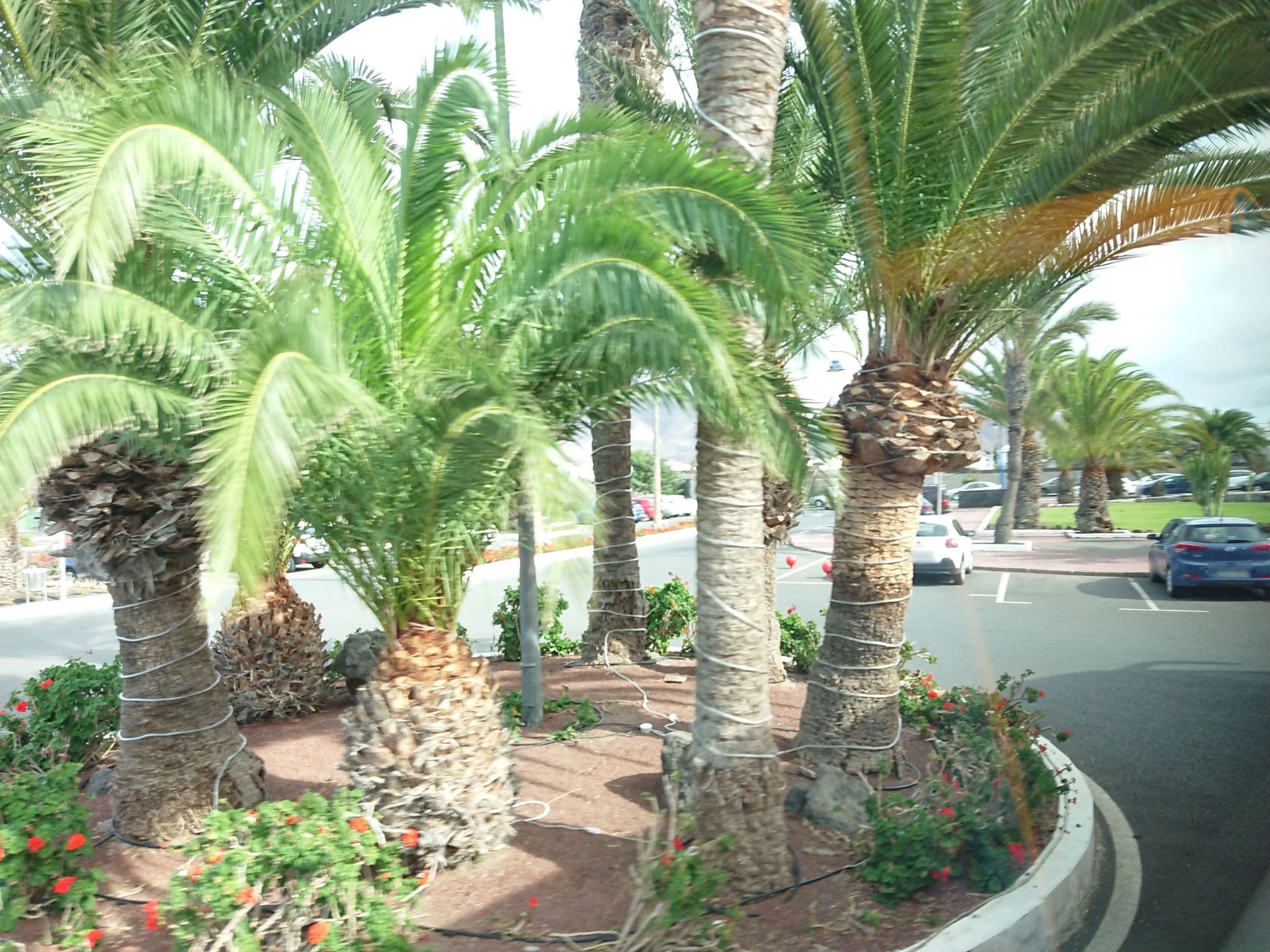 Street view near H10 Lanzarote Princess, Playa Blanca — © sp4rkie (CC BY-SA · Mapillary)