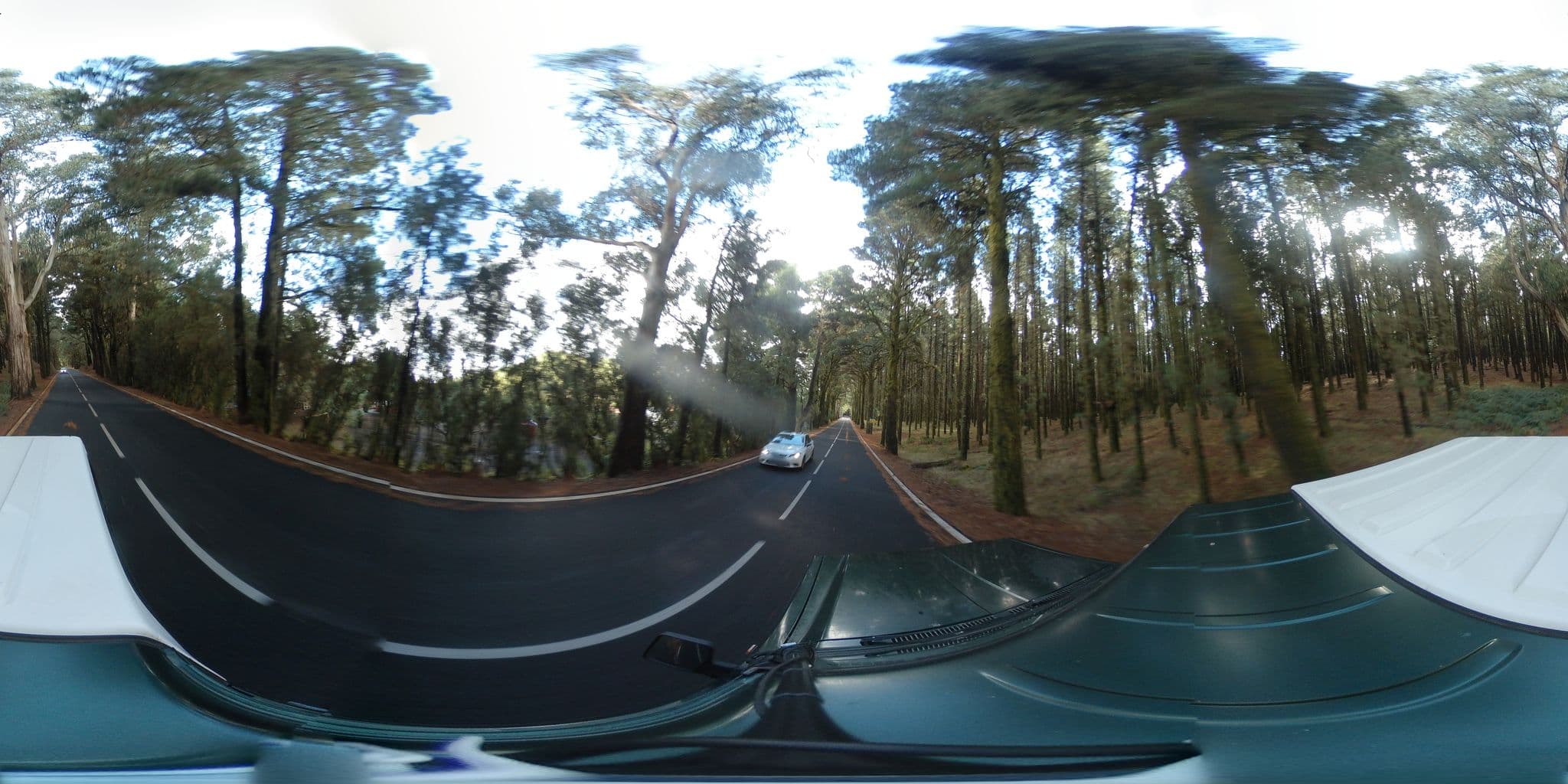 Street view near Campamento Quimpi, La Victoria de Acentejo — © javiersanp (CC BY-SA · Mapillary)