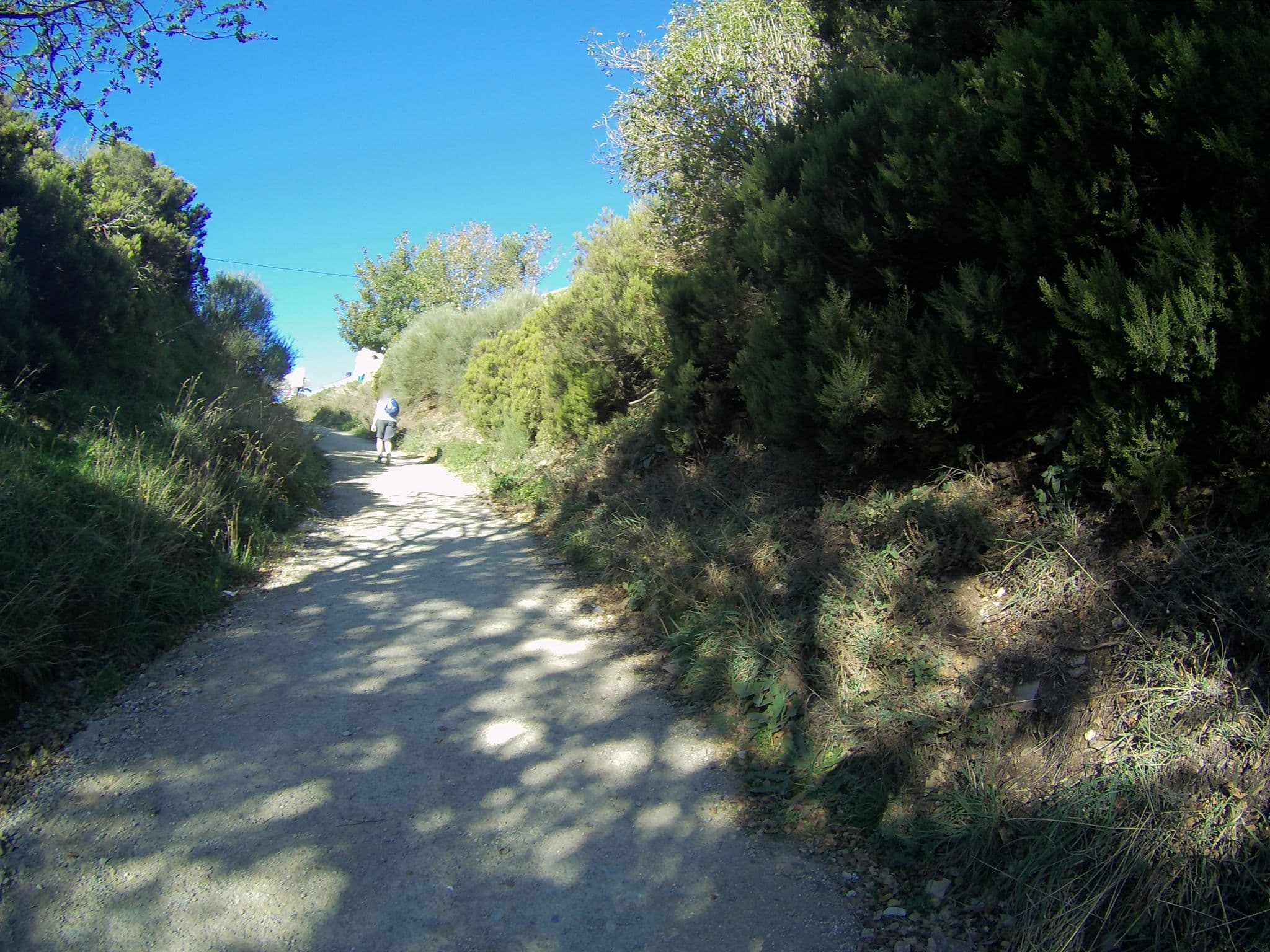 Street view near Albergue Bar Puerto, Becerreá — © camperxr (CC BY-SA · Mapillary)