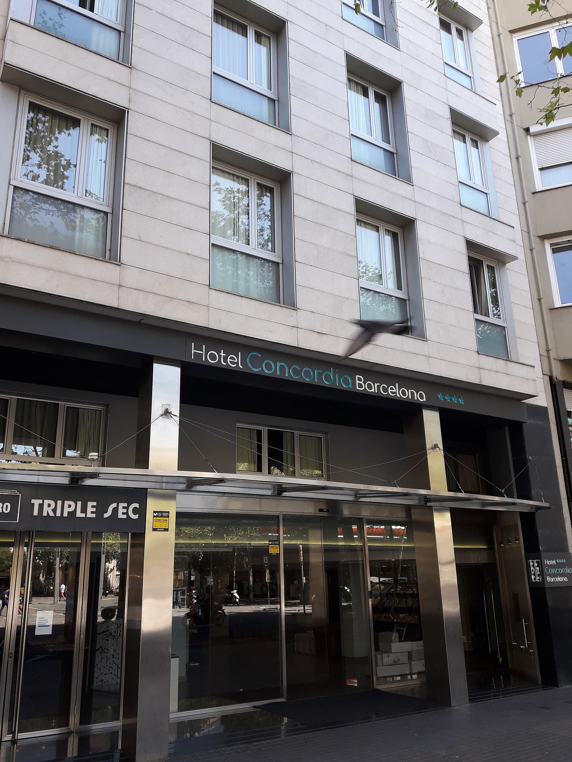 Hotel Concordia (via Wikimedia Commons, CC BY-SA 3.0)