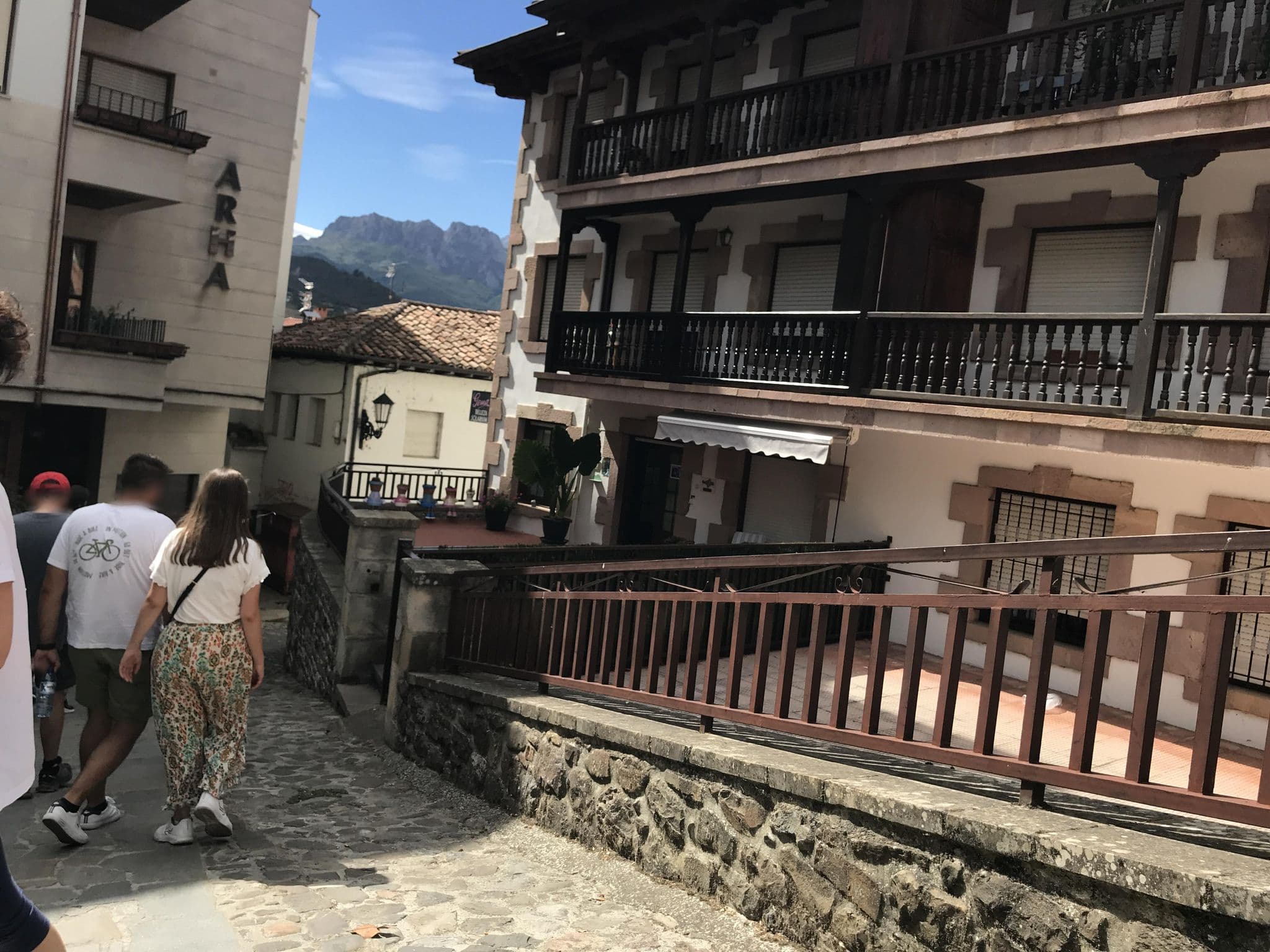 Street view near Arha, Potes