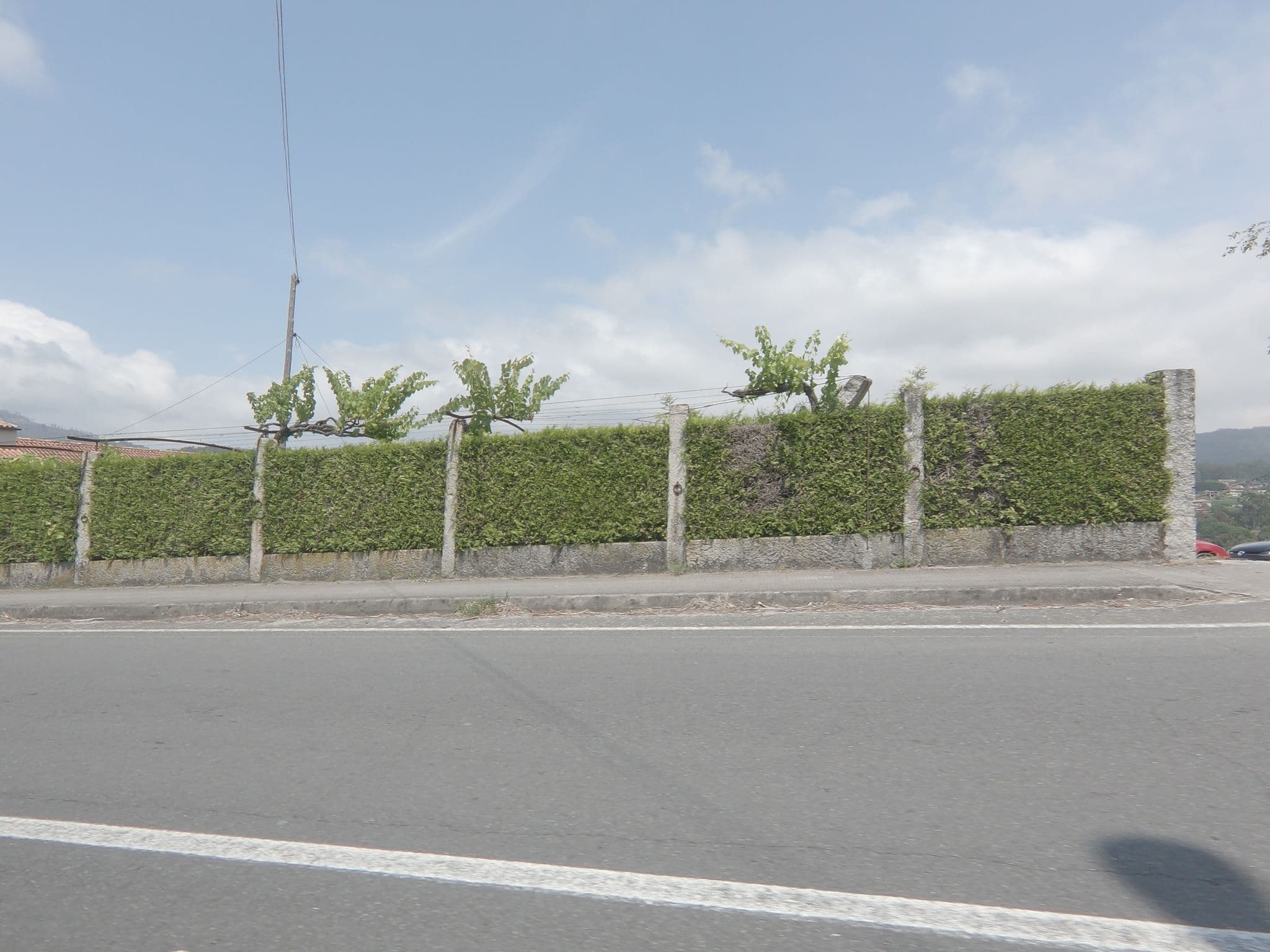 Street view near Casa Rural Do Roque, Gondomar — © sanjorgepinho (CC BY-SA · Mapillary)