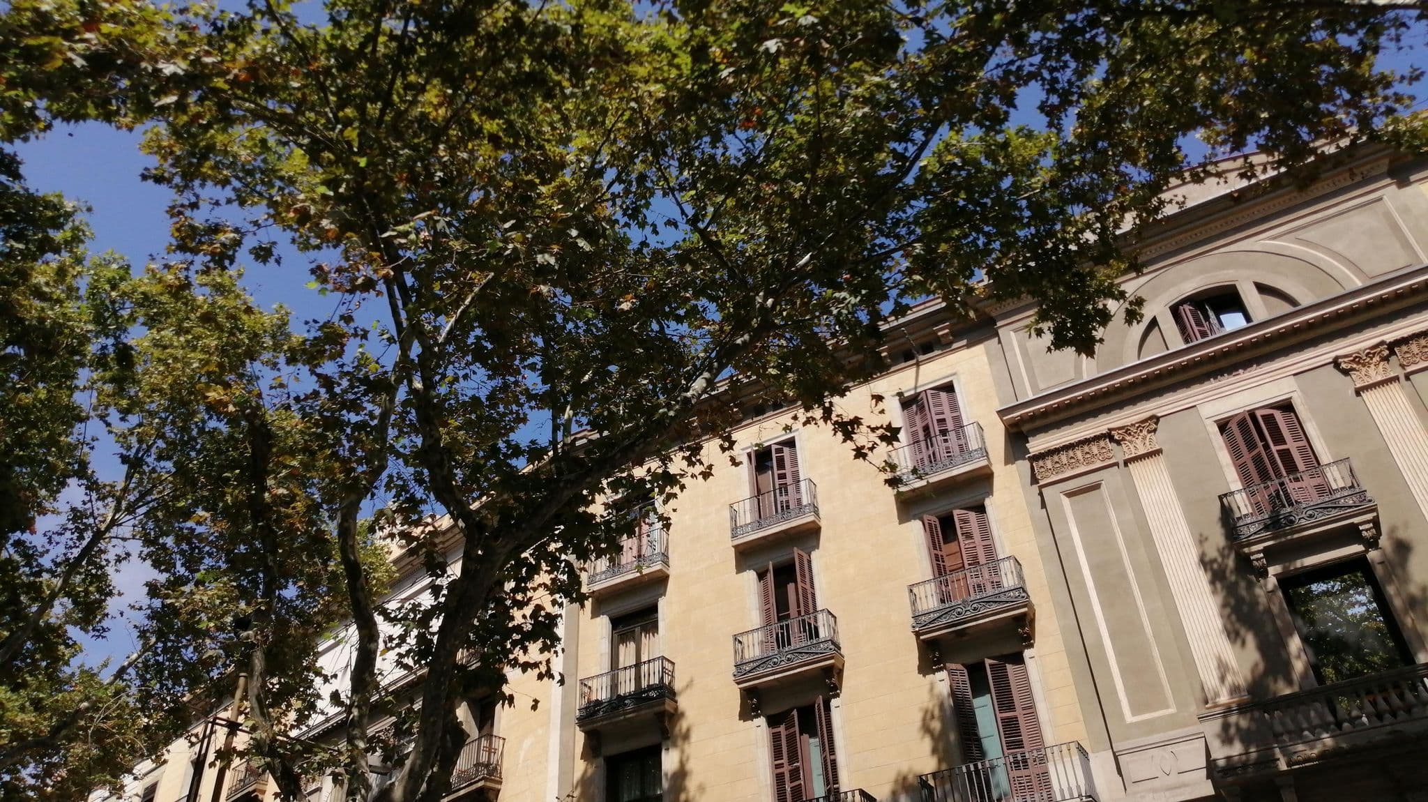 Street view near Hotel Ramblas, Ciutat Vella — © alememex (CC BY-SA · Mapillary)
