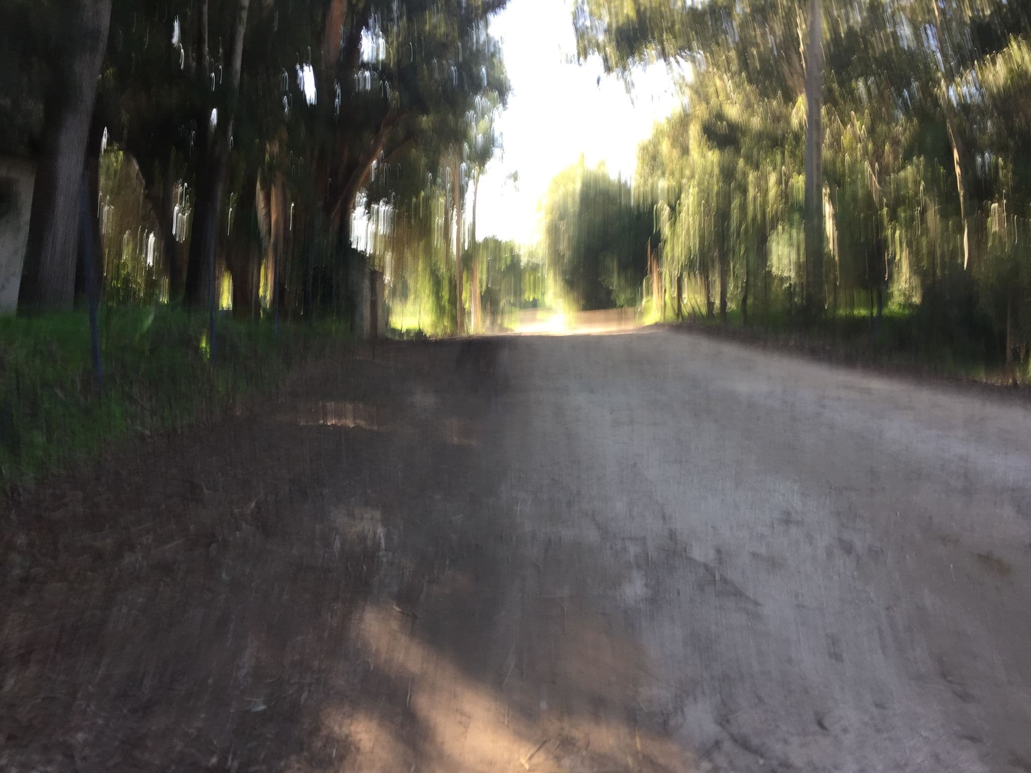 Street view near Finca Ambrosio, Vejer de la Frontera — © flidolin (CC BY-SA · Mapillary)