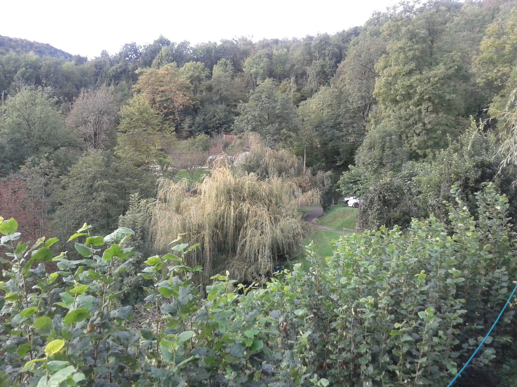 Street view near Casa Etxalde Turisme Rural, Camprodon — © samel (CC BY-SA · Mapillary)